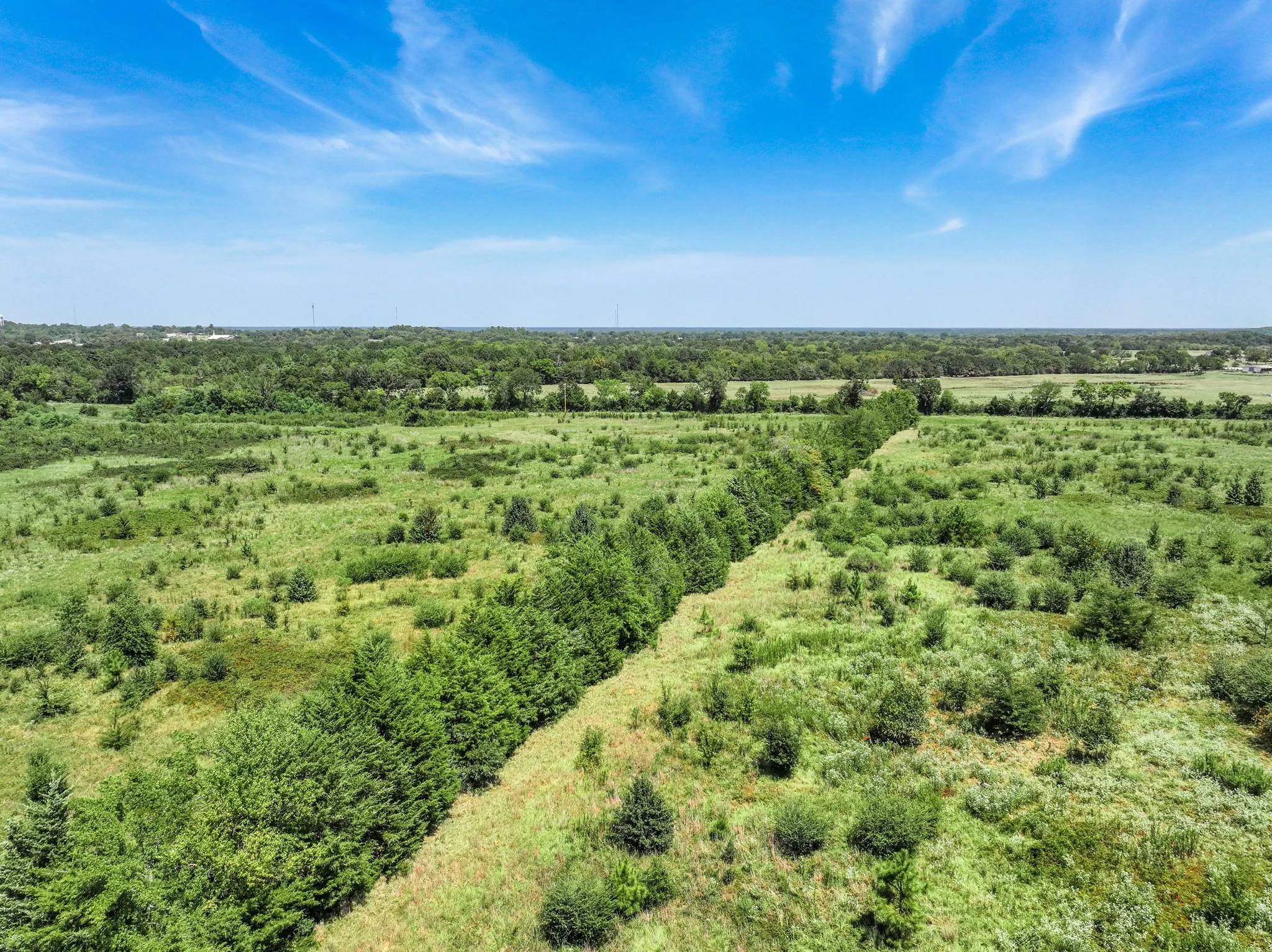 Expansive undeveloped land featuring mature trees and varied vegetation under a clear sky