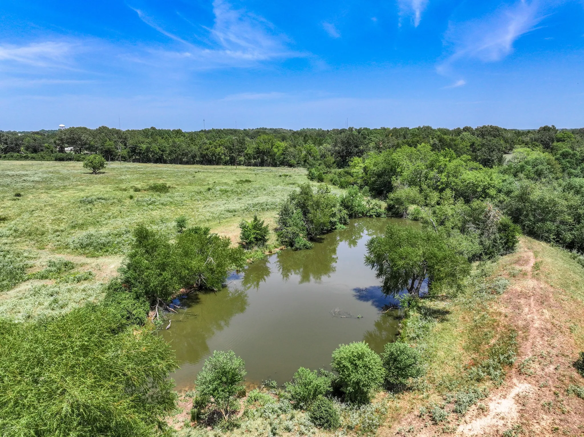 Private pond surrounded by natural landscaping and mature trees