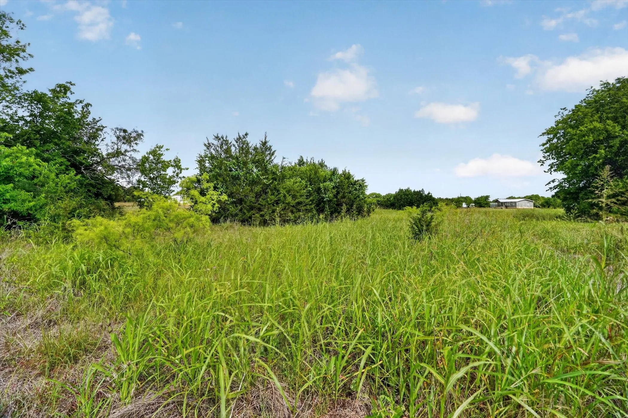 Unimproved Land For Sale in Hill County , TBD HCR 1195, Blum, Texas 76627, 0, 0, Garage spaces, 0 Sqft, built in 0, Price $65,000, mls#21350269, Real Estate Agent in Blum, Homes For Sale in Hill county, Homes For Sale in Blum, Realtor in Blum Texas, Real Estate Brokerage Independent Realty Texas, Luminita Cordes Realtor