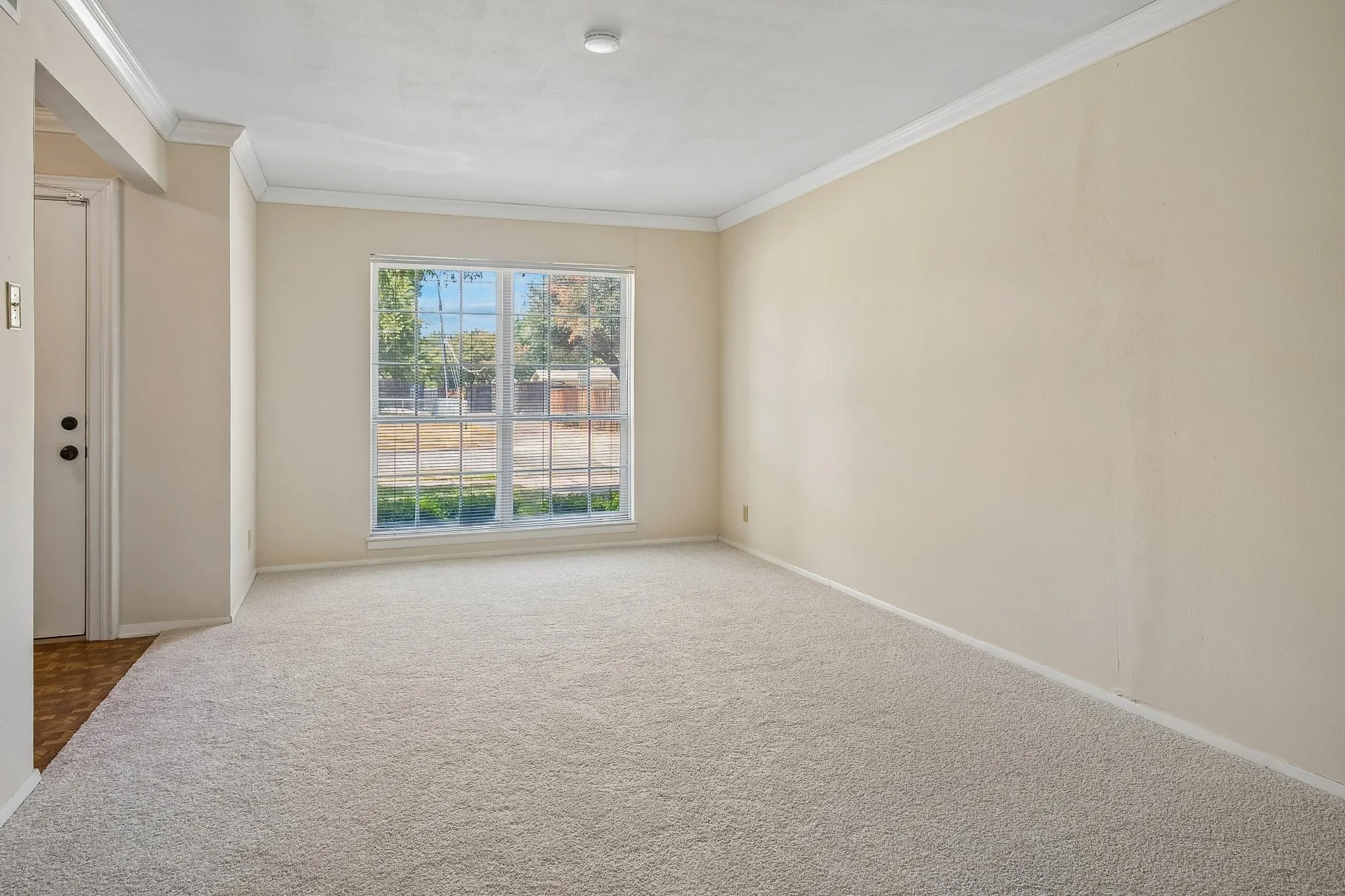 New carpet throughout the home (Aug 2026).