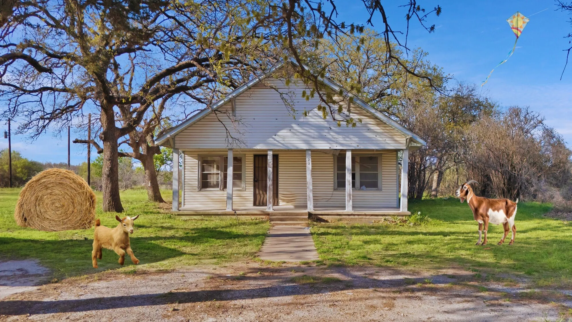 Bungalow with a porch and a front yard