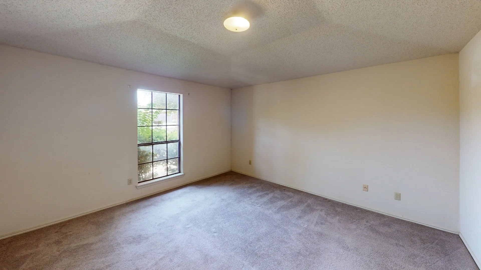 Carpeted room with a multi-pane window and a ceiling-mounted light fixture