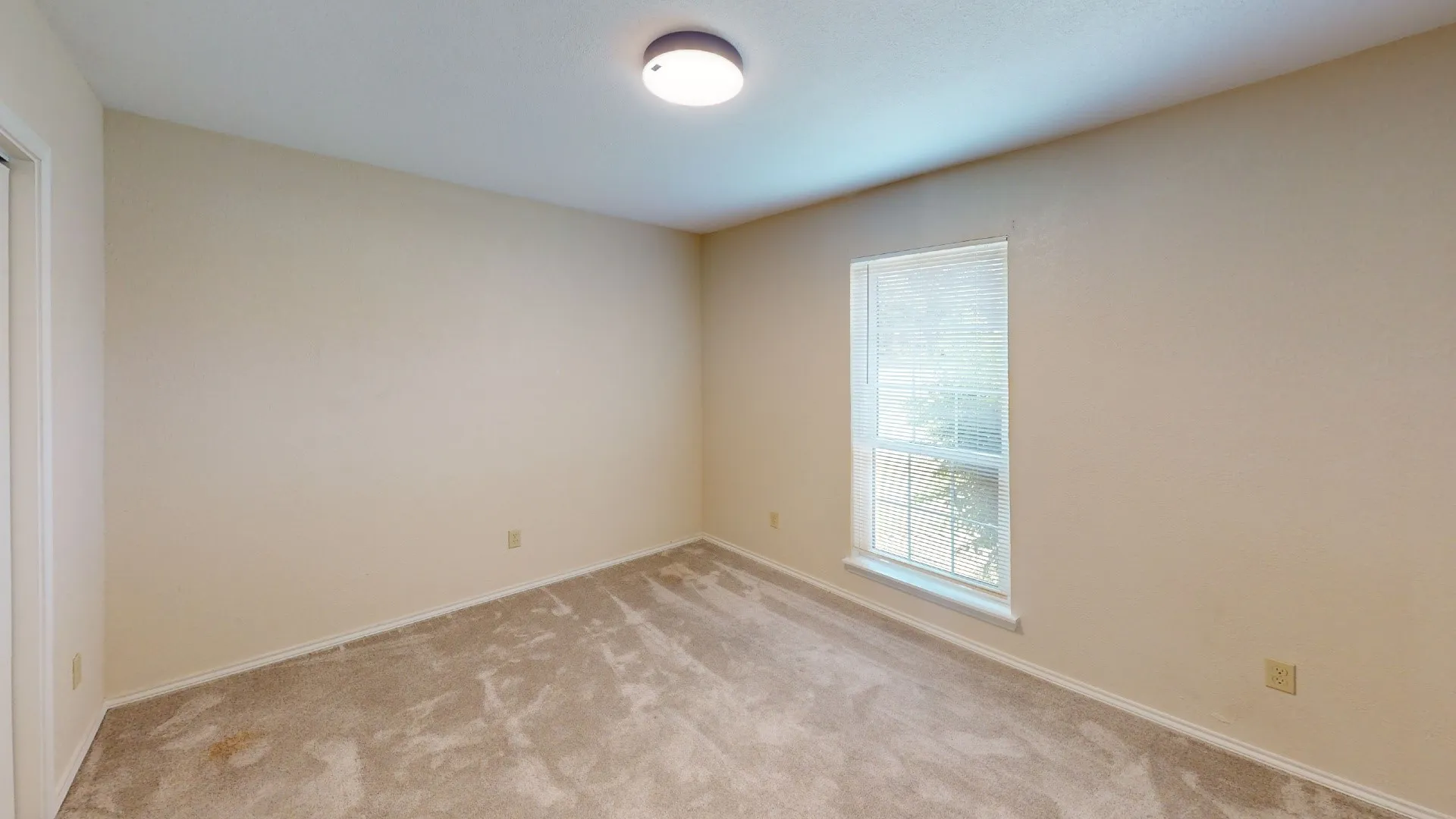 Neutral-toned walls complement the light-colored carpet flooring