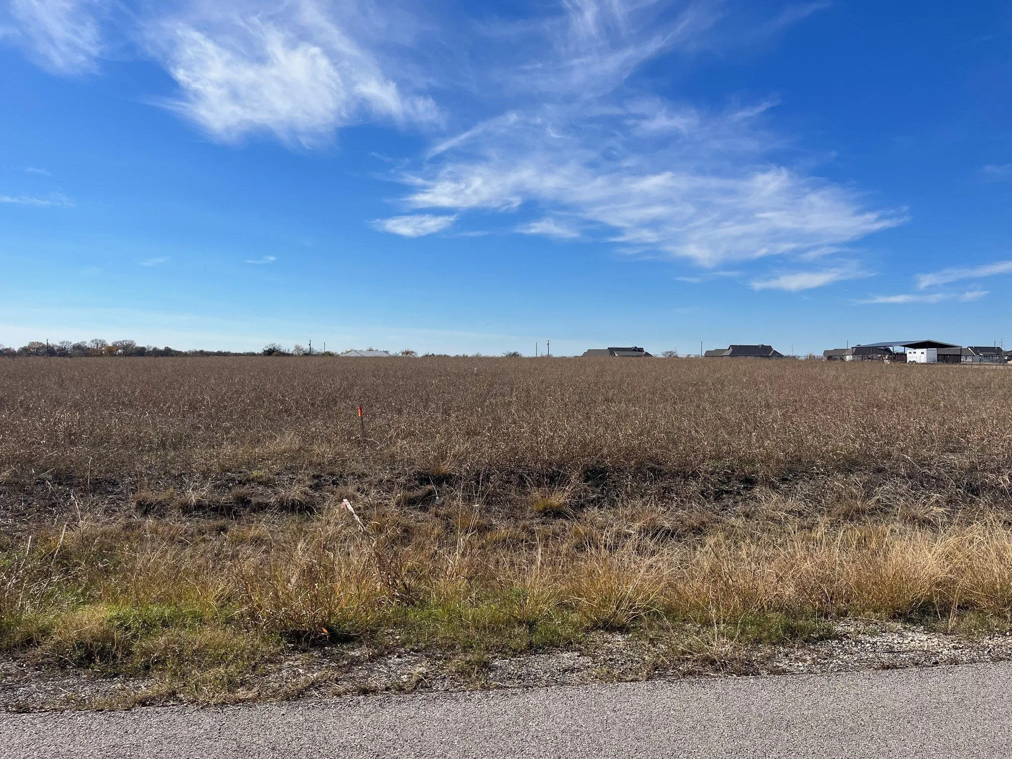 View of local wilderness with a rural view