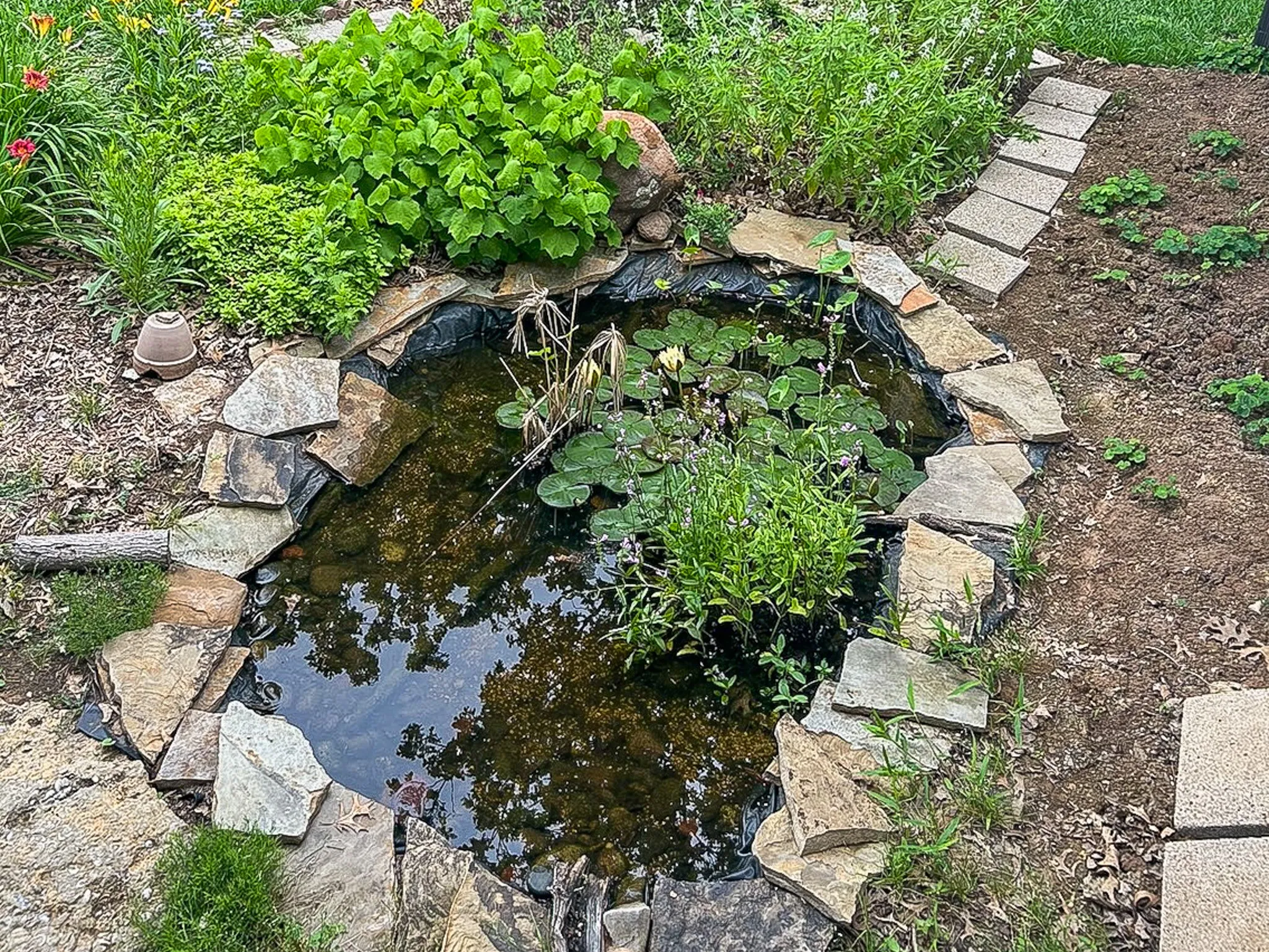 Garden water feature, natural stone edging, water lilies, surrounding plantings, and a flagstone pathway