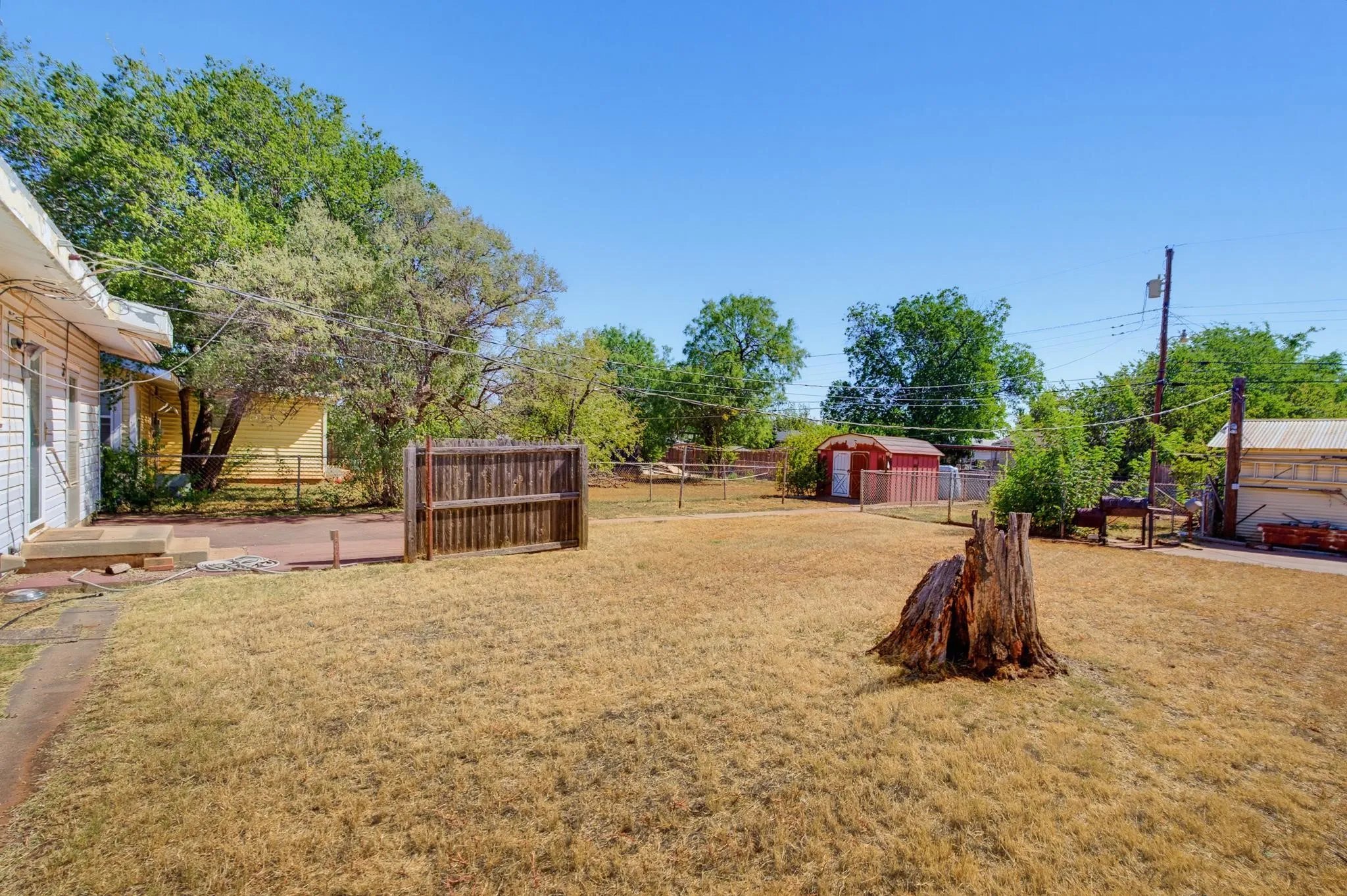 back yard