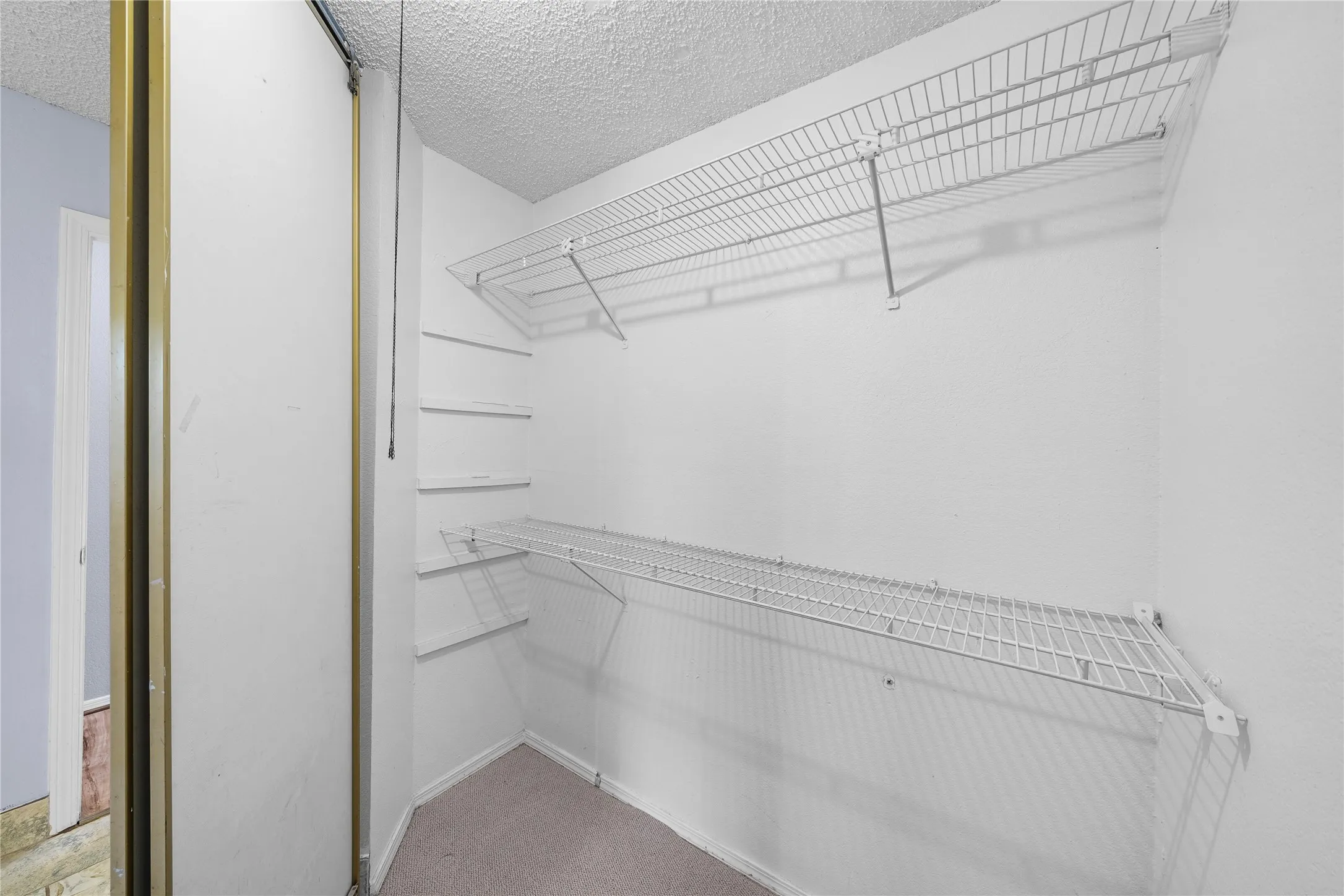 Walk-in closet featuring built-in wire shelving, additional wall-mounted shelves, and neutral carpeting