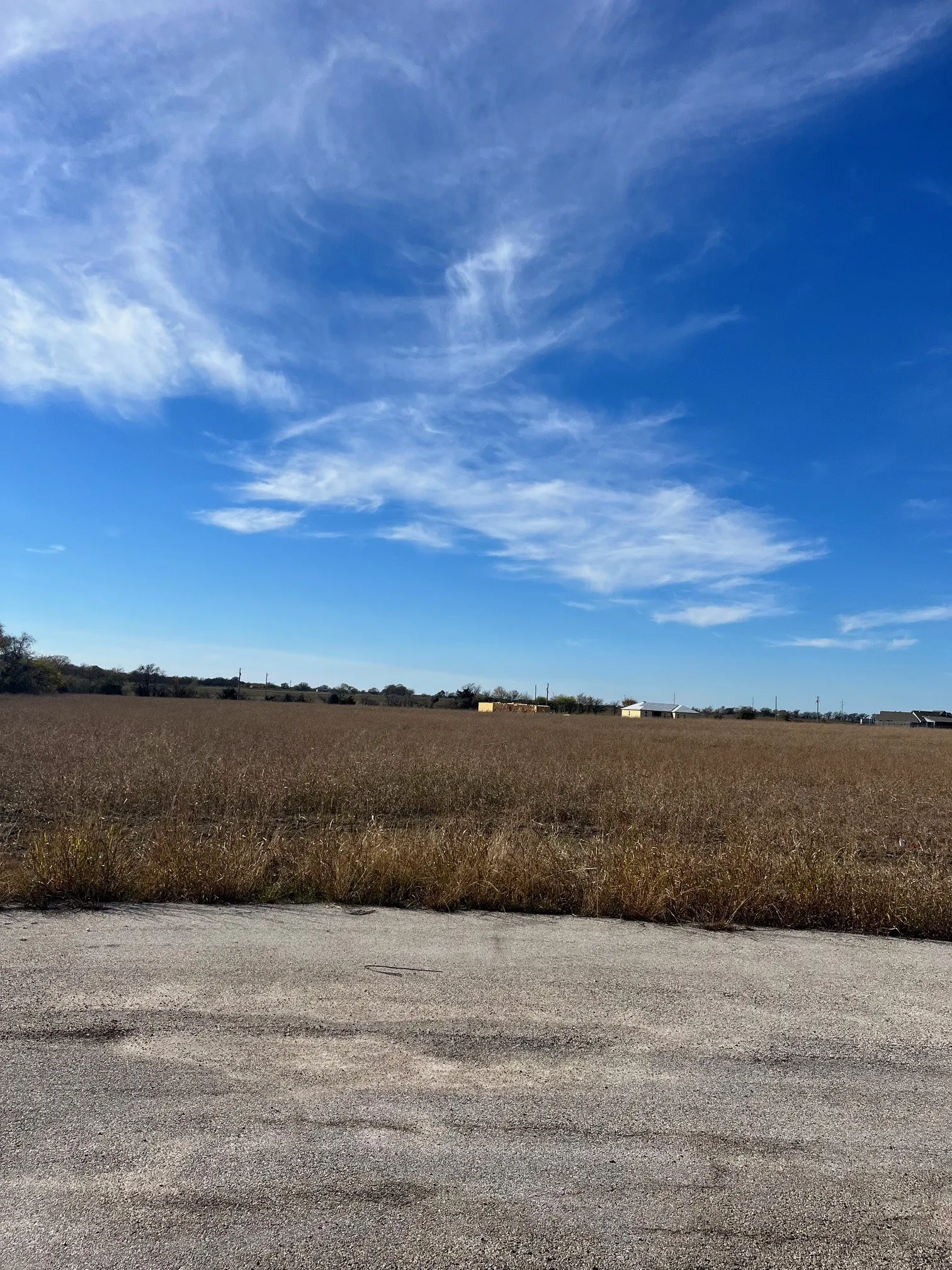 View of yard featuring a rural view
