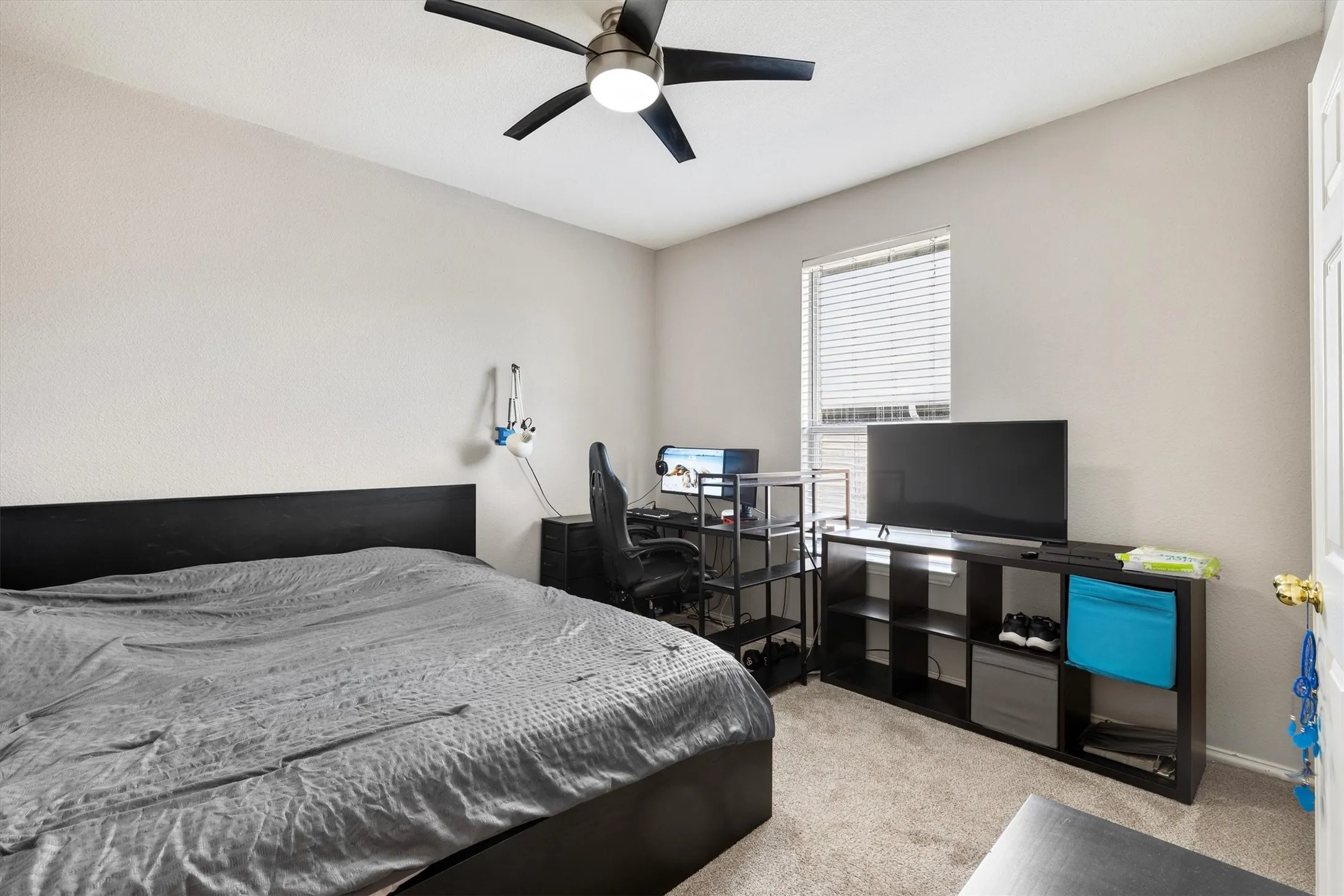 Neutral wall paint, textured ceiling, window with horizontal blinds, ceiling fan with light fixture, and plush carpeting