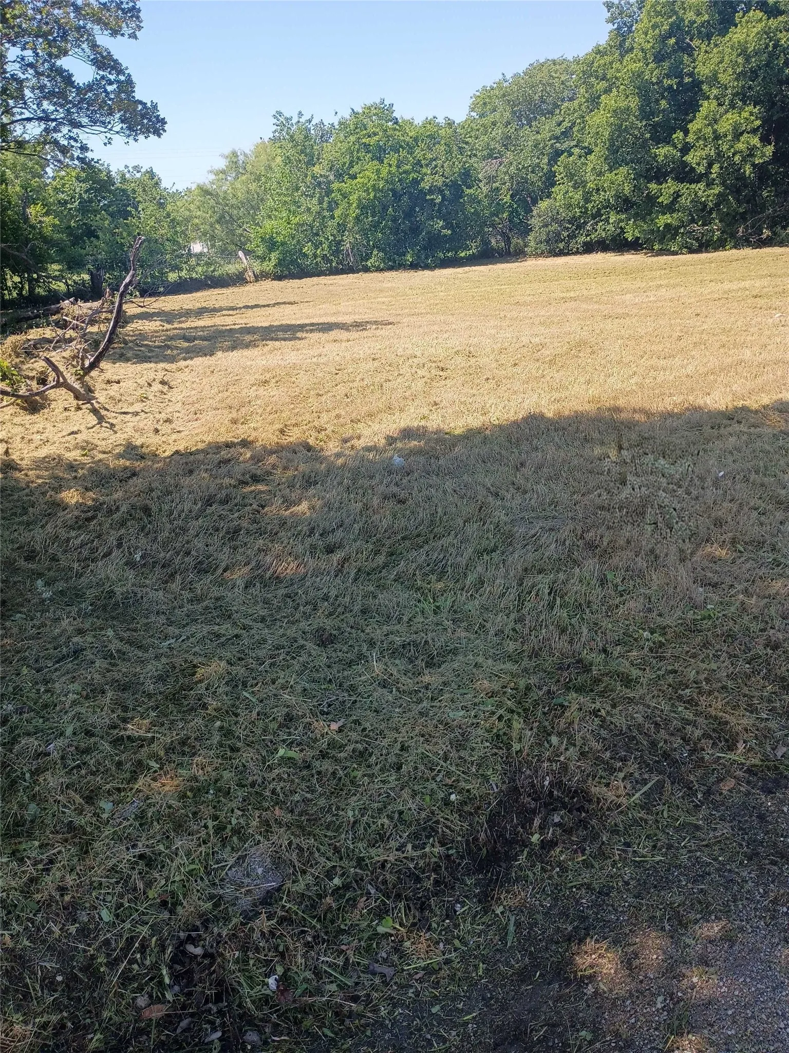 Unimproved Land For Sale in Palo Pinto County , 902 2nd Street, Mineral Wells, Texas 76067, 0, 0, Garage spaces, 0 Sqft, built in 0, Price $24,900, mls#21350259, Real Estate Agent in Mineral Wells, Homes For Sale in Palo Pinto county, Homes For Sale in Mineral Wells, Realtor in Mineral Wells Texas, Real Estate Brokerage Independent Realty Texas, Luminita Cordes Realtor