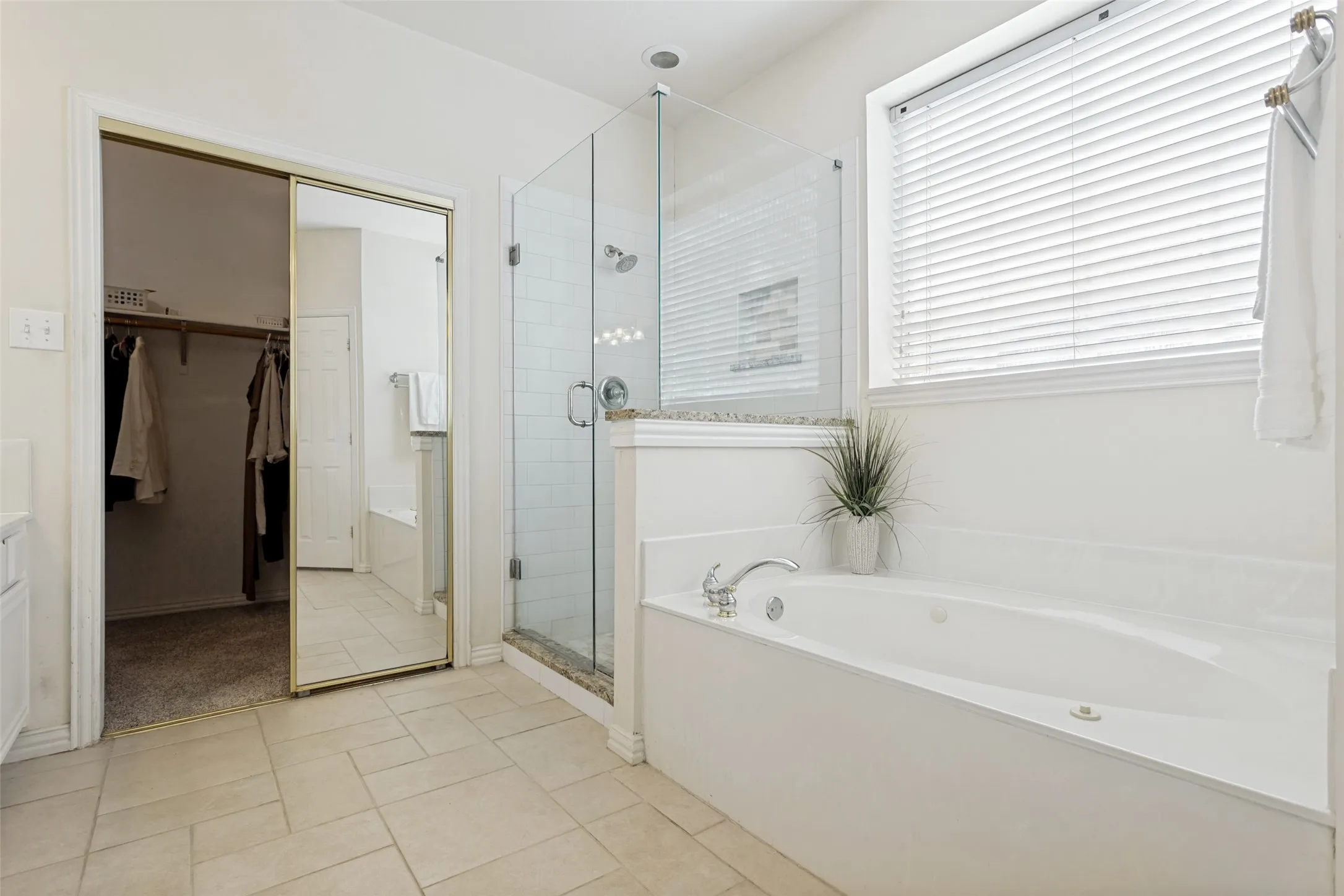 Large glass enclosed shower and garden tub