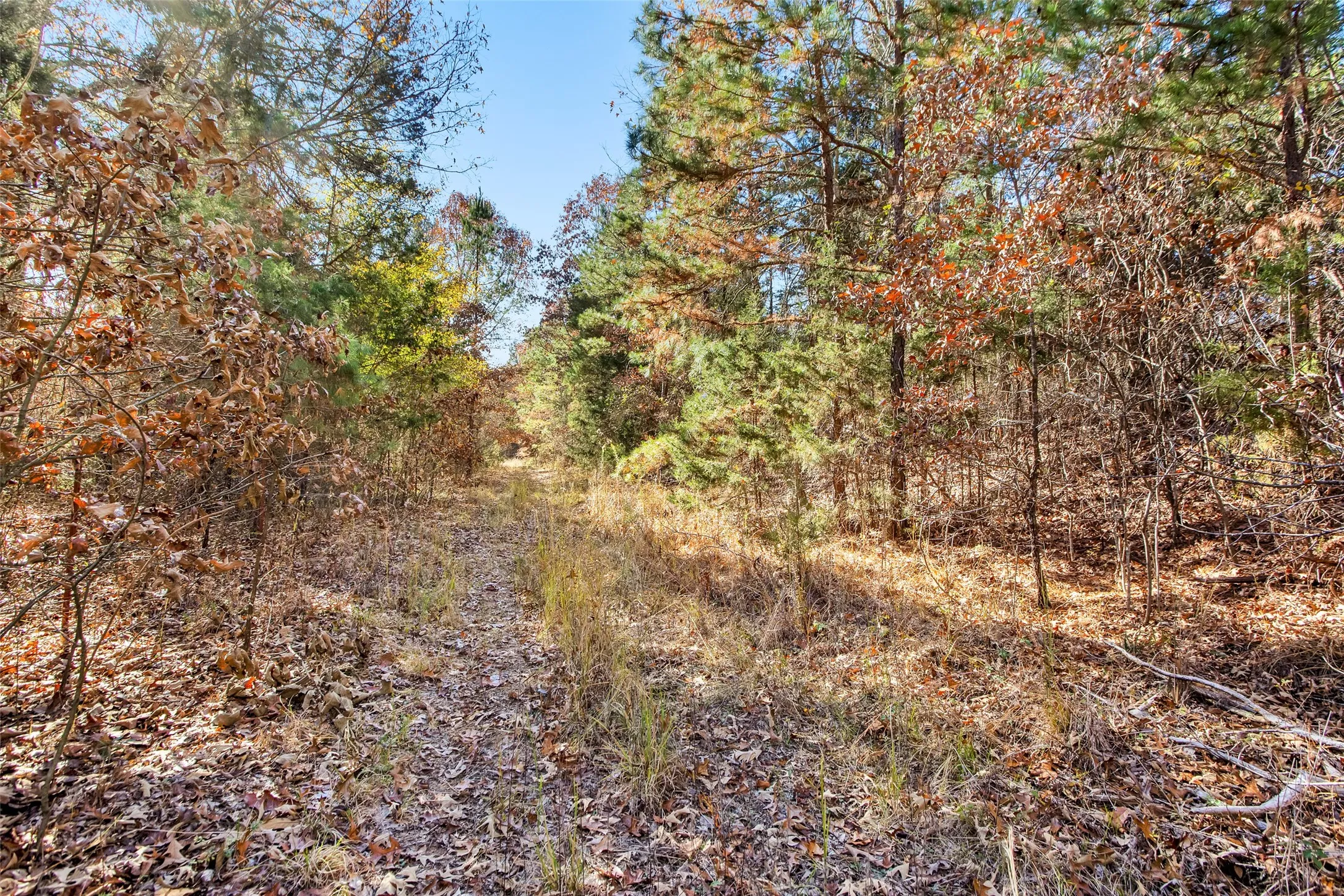 Unimproved Land For Sale in Lamar County , TBD 197, Arthur City, Texas 75411, 0, 0, Garage spaces, 0 Sqft, built in 0, Price $325,000, mls#21364502, Real Estate Agent in Arthur City, Homes For Sale in Lamar county, Homes For Sale in Arthur City, Realtor in Arthur City Texas, Real Estate Brokerage Independent Realty Texas, Luminita Cordes Realtor