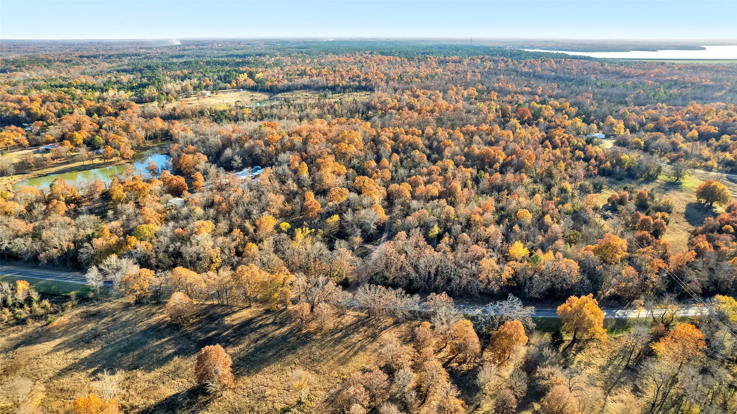 Unimproved Land For Sale in Lamar County , TBD 197, Arthur City, Texas 75411, 0, 0, Garage spaces, 0 Sqft, built in 0, Price $325,000, mls#21364502, Real Estate Agent in Arthur City, Homes For Sale in Lamar county, Homes For Sale in Arthur City, Realtor in Arthur City Texas, Real Estate Brokerage Independent Realty Texas, Luminita Cordes Realtor