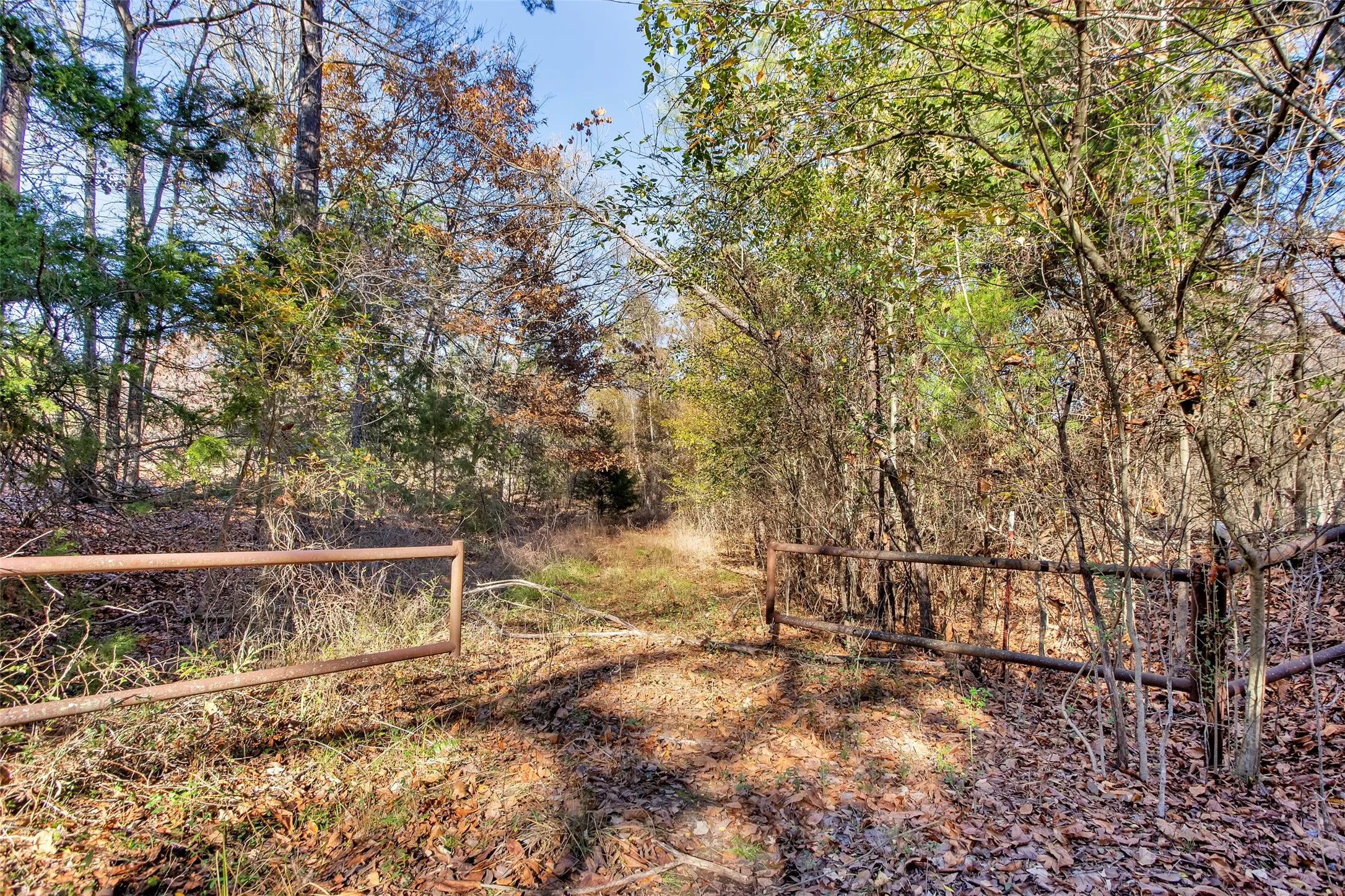 Unimproved Land For Sale in Lamar County , TBD 197, Arthur City, Texas 75411, 0, 0, Garage spaces, 0 Sqft, built in 0, Price $325,000, mls#21364502, Real Estate Agent in Arthur City, Homes For Sale in Lamar county, Homes For Sale in Arthur City, Realtor in Arthur City Texas, Real Estate Brokerage Independent Realty Texas, Luminita Cordes Realtor