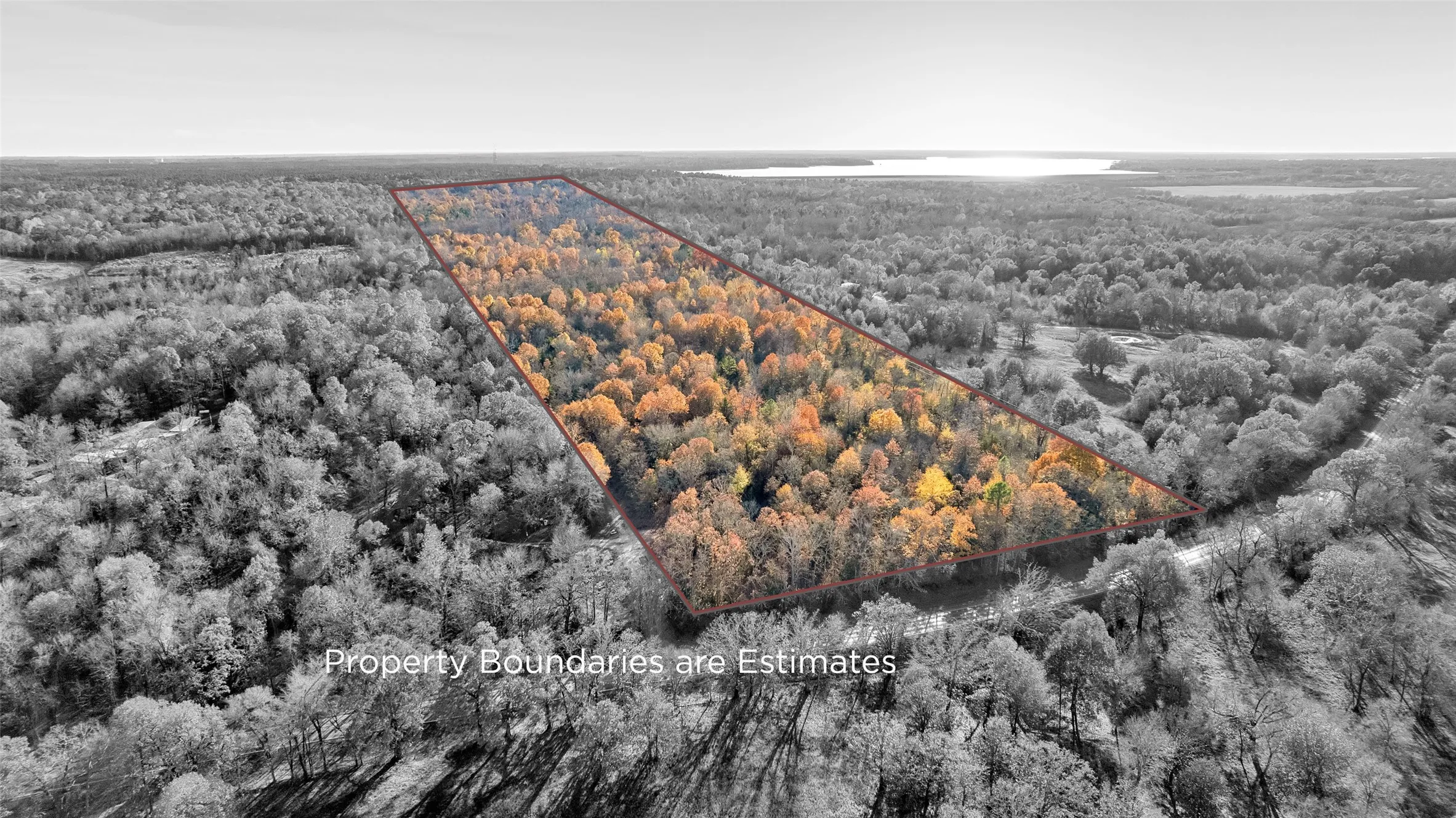 Unimproved Land For Sale in Lamar County , TBD 197, Arthur City, Texas 75411, 0, 0, Garage spaces, 0 Sqft, built in 0, Price $325,000, mls#21364502, Real Estate Agent in Arthur City, Homes For Sale in Lamar county, Homes For Sale in Arthur City, Realtor in Arthur City Texas, Real Estate Brokerage Independent Realty Texas, Luminita Cordes Realtor