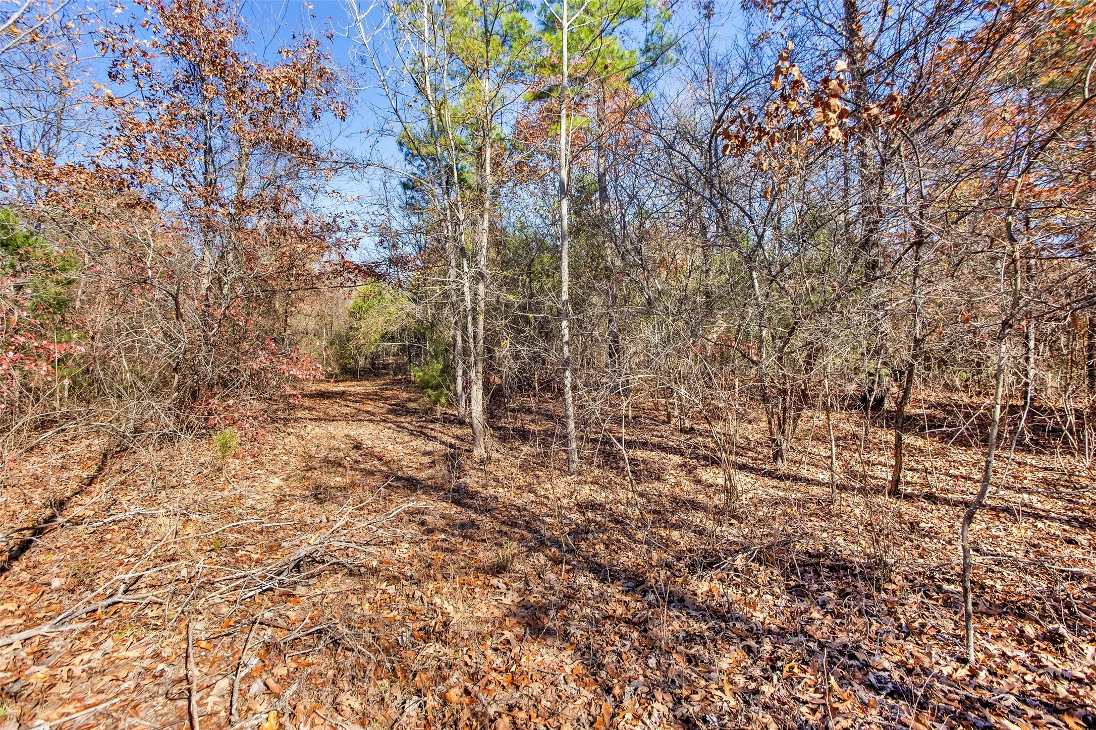 Unimproved Land For Sale in Lamar County , TBD 197, Arthur City, Texas 75411, 0, 0, Garage spaces, 0 Sqft, built in 0, Price $325,000, mls#21364502, Real Estate Agent in Arthur City, Homes For Sale in Lamar county, Homes For Sale in Arthur City, Realtor in Arthur City Texas, Real Estate Brokerage Independent Realty Texas, Luminita Cordes Realtor