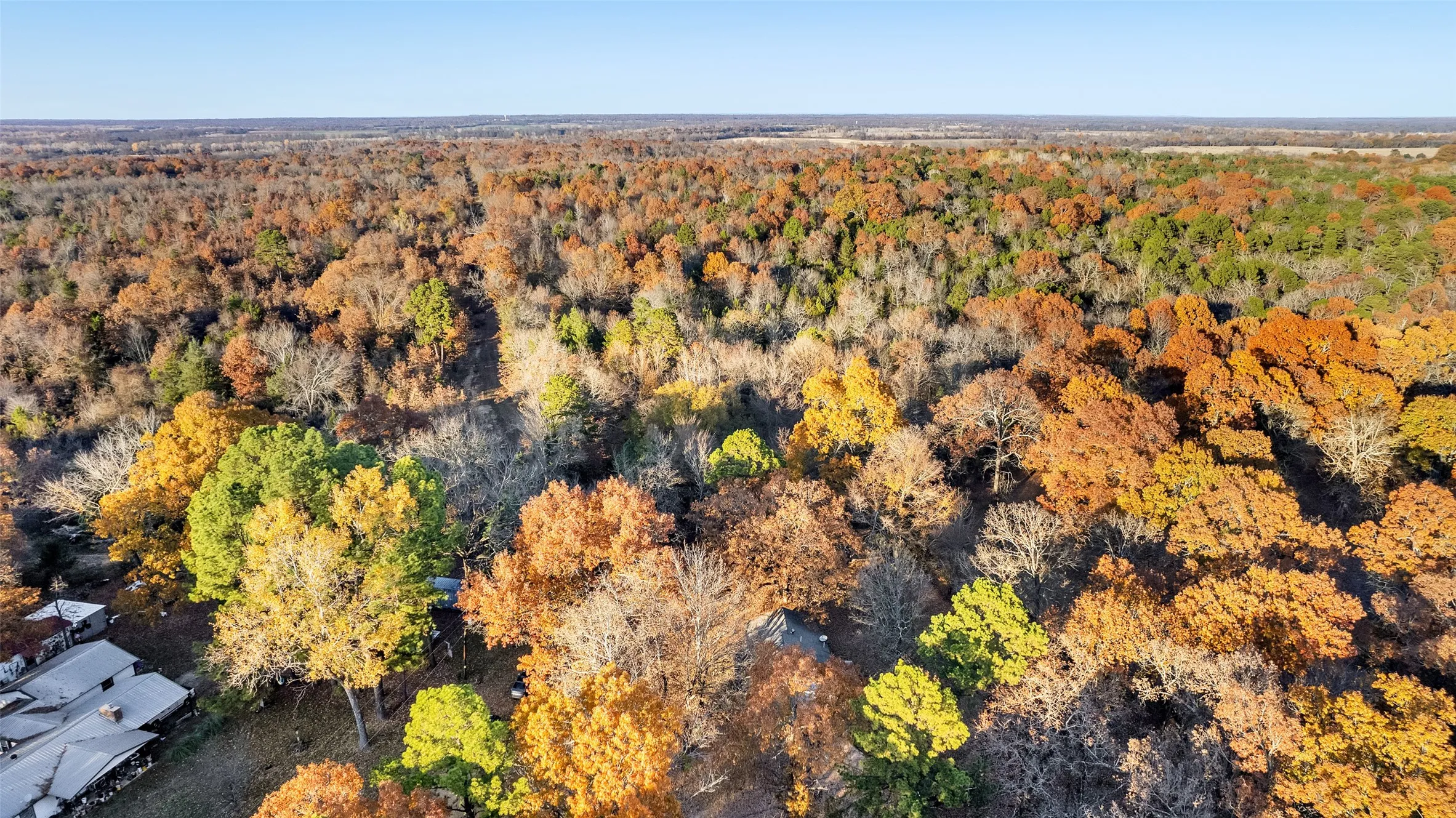 Unimproved Land For Sale in Lamar County , TBD 197, Arthur City, Texas 75411, 0, 0, Garage spaces, 0 Sqft, built in 0, Price $325,000, mls#21364502, Real Estate Agent in Arthur City, Homes For Sale in Lamar county, Homes For Sale in Arthur City, Realtor in Arthur City Texas, Real Estate Brokerage Independent Realty Texas, Luminita Cordes Realtor
