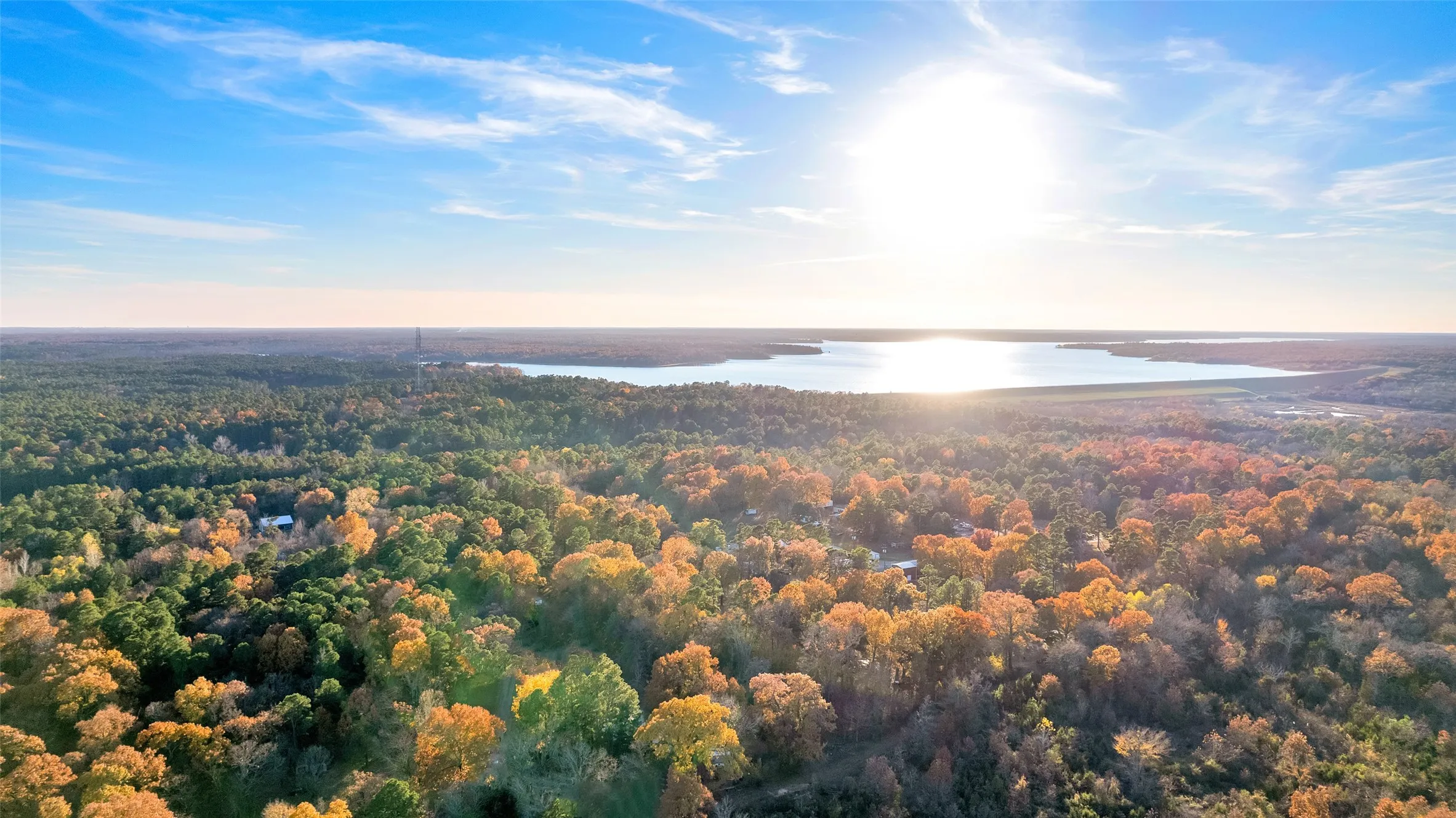 Unimproved Land For Sale in Lamar County , TBD 197, Arthur City, Texas 75411, 0, 0, Garage spaces, 0 Sqft, built in 0, Price $325,000, mls#21364502, Real Estate Agent in Arthur City, Homes For Sale in Lamar county, Homes For Sale in Arthur City, Realtor in Arthur City Texas, Real Estate Brokerage Independent Realty Texas, Luminita Cordes Realtor