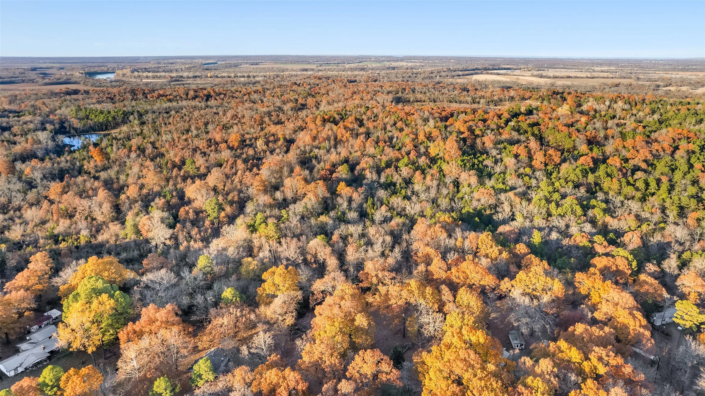 Unimproved Land For Sale in Lamar County , TBD 197, Arthur City, Texas 75411, 0, 0, Garage spaces, 0 Sqft, built in 0, Price $325,000, mls#21364502, Real Estate Agent in Arthur City, Homes For Sale in Lamar county, Homes For Sale in Arthur City, Realtor in Arthur City Texas, Real Estate Brokerage Independent Realty Texas, Luminita Cordes Realtor