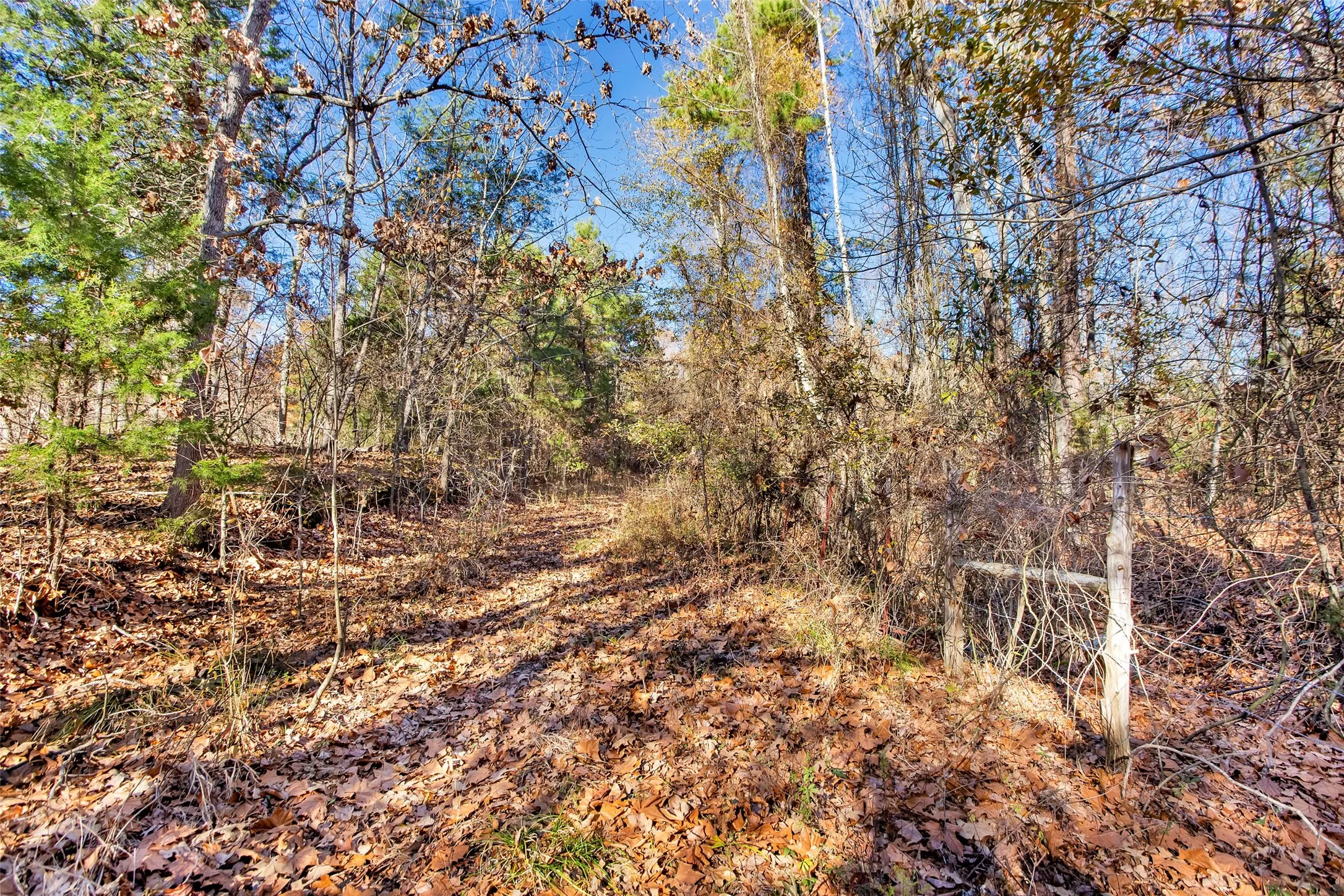 Unimproved Land For Sale in Lamar County , TBD 197, Arthur City, Texas 75411, 0, 0, Garage spaces, 0 Sqft, built in 0, Price $325,000, mls#21364502, Real Estate Agent in Arthur City, Homes For Sale in Lamar county, Homes For Sale in Arthur City, Realtor in Arthur City Texas, Real Estate Brokerage Independent Realty Texas, Luminita Cordes Realtor