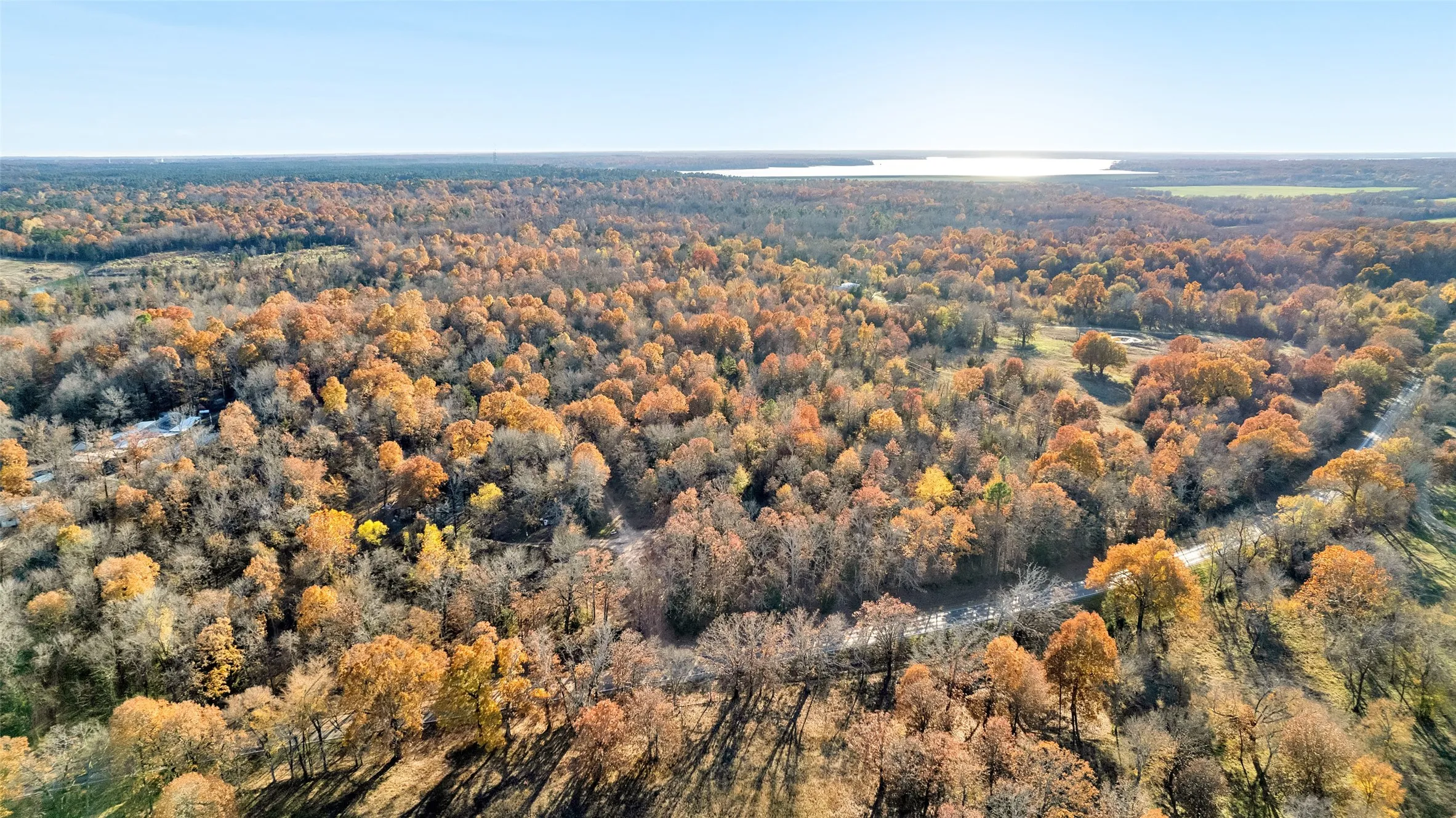 Unimproved Land For Sale in Lamar County , TBD 197, Arthur City, Texas 75411, 0, 0, Garage spaces, 0 Sqft, built in 0, Price $325,000, mls#21364502, Real Estate Agent in Arthur City, Homes For Sale in Lamar county, Homes For Sale in Arthur City, Realtor in Arthur City Texas, Real Estate Brokerage Independent Realty Texas, Luminita Cordes Realtor