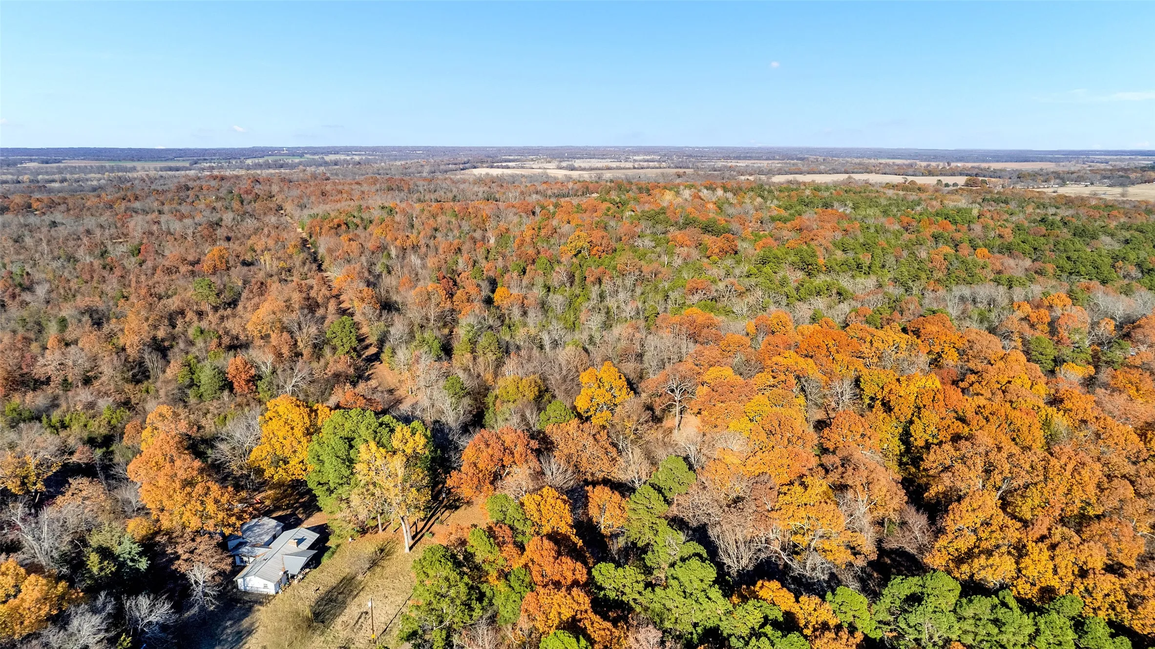 Unimproved Land For Sale in Lamar County , TBD 197, Arthur City, Texas 75411, 0, 0, Garage spaces, 0 Sqft, built in 0, Price $325,000, mls#21364502, Real Estate Agent in Arthur City, Homes For Sale in Lamar county, Homes For Sale in Arthur City, Realtor in Arthur City Texas, Real Estate Brokerage Independent Realty Texas, Luminita Cordes Realtor