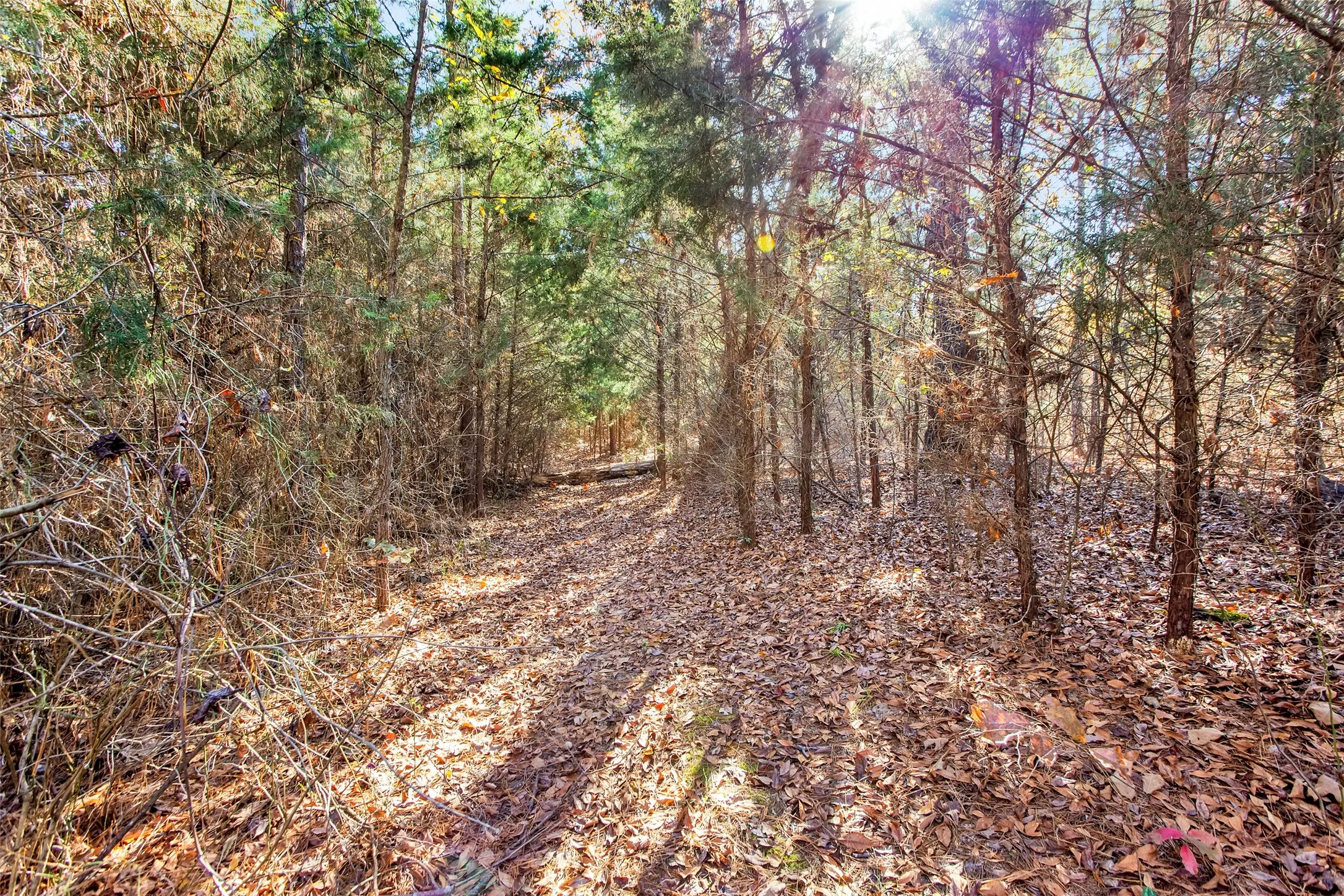 Unimproved Land For Sale in Lamar County , TBD 197, Arthur City, Texas 75411, 0, 0, Garage spaces, 0 Sqft, built in 0, Price $325,000, mls#21364502, Real Estate Agent in Arthur City, Homes For Sale in Lamar county, Homes For Sale in Arthur City, Realtor in Arthur City Texas, Real Estate Brokerage Independent Realty Texas, Luminita Cordes Realtor