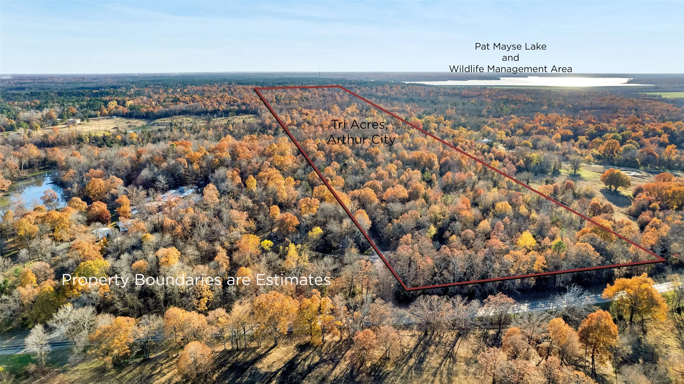 Expansive acreage featuring mature trees and diverse foliage