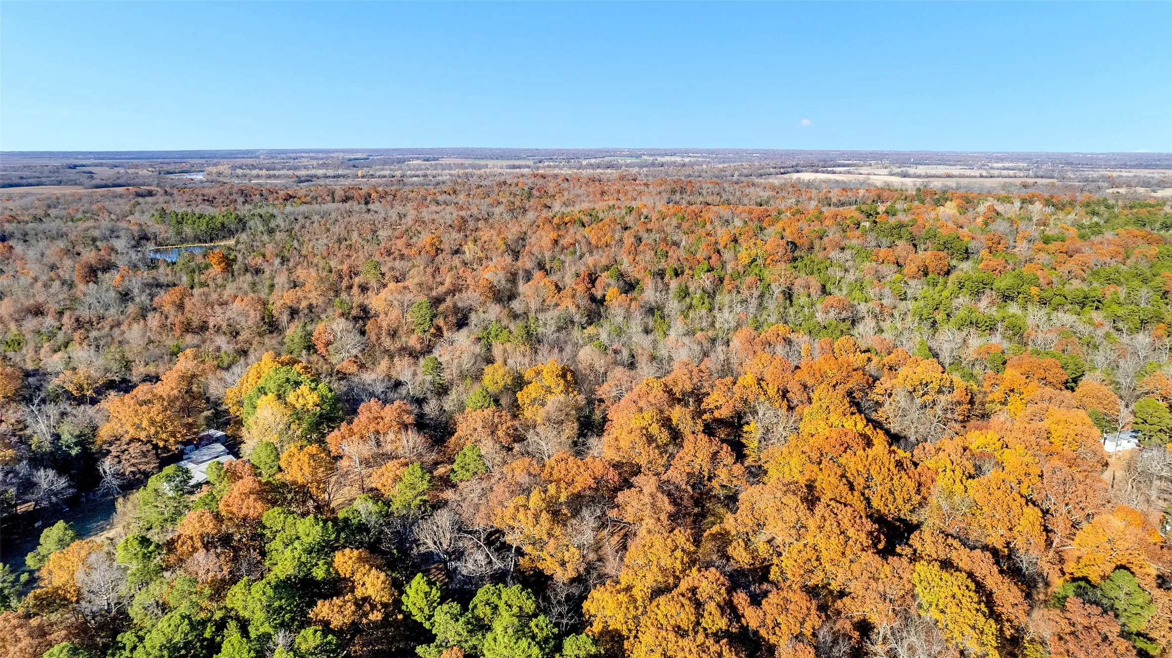 Unimproved Land For Sale in Lamar County , TBD 197, Arthur City, Texas 75411, 0, 0, Garage spaces, 0 Sqft, built in 0, Price $325,000, mls#21364502, Real Estate Agent in Arthur City, Homes For Sale in Lamar county, Homes For Sale in Arthur City, Realtor in Arthur City Texas, Real Estate Brokerage Independent Realty Texas, Luminita Cordes Realtor