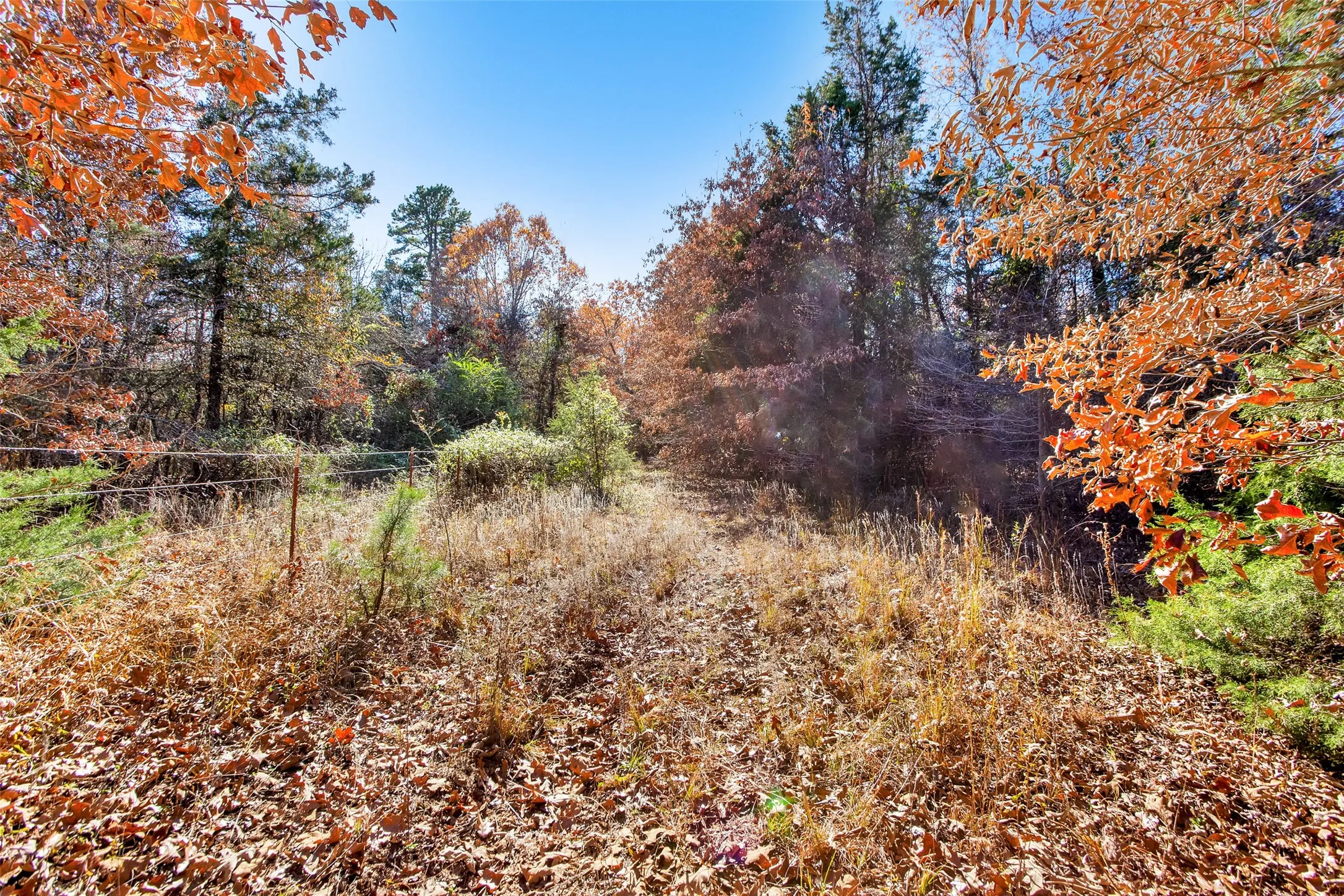 Unimproved Land For Sale in Lamar County , TBD 197, Arthur City, Texas 75411, 0, 0, Garage spaces, 0 Sqft, built in 0, Price $325,000, mls#21364502, Real Estate Agent in Arthur City, Homes For Sale in Lamar county, Homes For Sale in Arthur City, Realtor in Arthur City Texas, Real Estate Brokerage Independent Realty Texas, Luminita Cordes Realtor