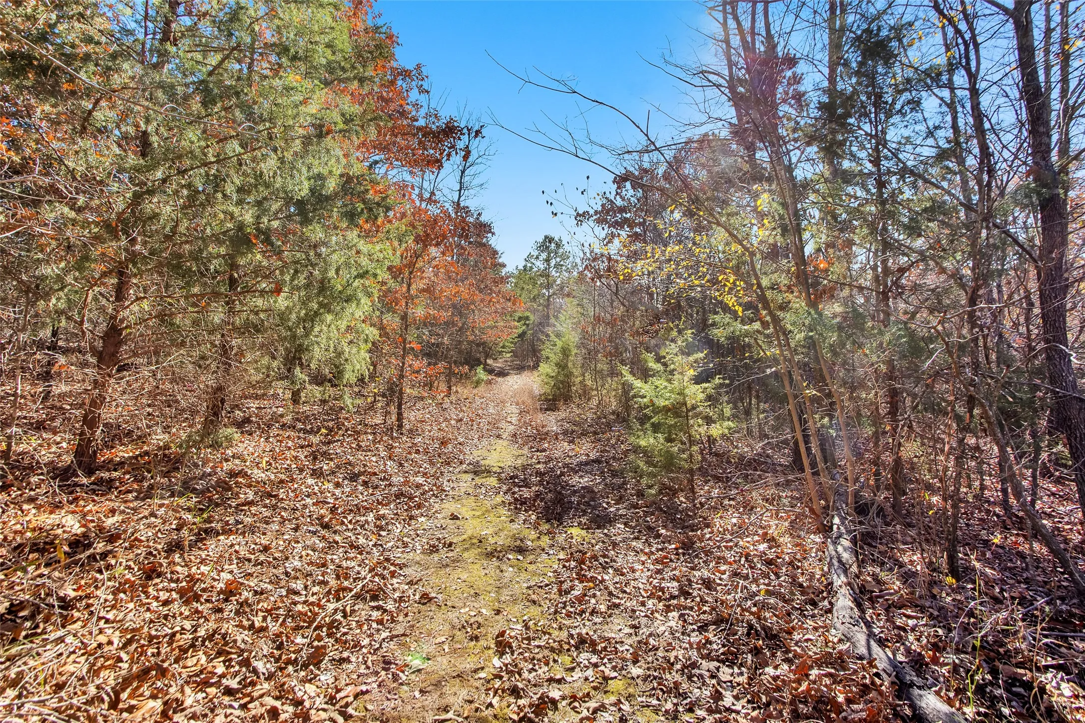 Unimproved Land For Sale in Lamar County , TBD 197, Arthur City, Texas 75411, 0, 0, Garage spaces, 0 Sqft, built in 0, Price $325,000, mls#21364502, Real Estate Agent in Arthur City, Homes For Sale in Lamar county, Homes For Sale in Arthur City, Realtor in Arthur City Texas, Real Estate Brokerage Independent Realty Texas, Luminita Cordes Realtor