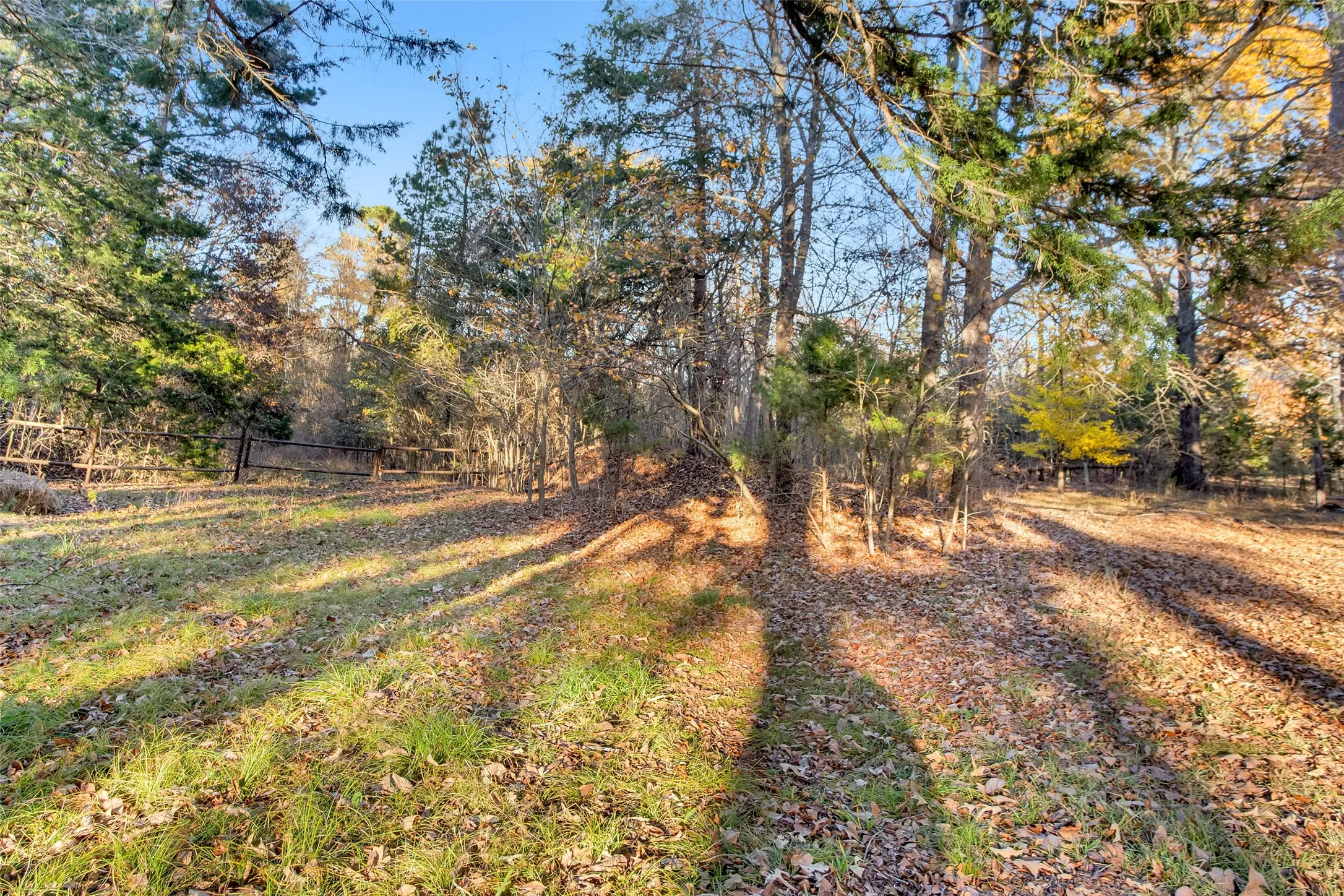Unimproved Land For Sale in Lamar County , TBD 197, Arthur City, Texas 75411, 0, 0, Garage spaces, 0 Sqft, built in 0, Price $325,000, mls#21364502, Real Estate Agent in Arthur City, Homes For Sale in Lamar county, Homes For Sale in Arthur City, Realtor in Arthur City Texas, Real Estate Brokerage Independent Realty Texas, Luminita Cordes Realtor