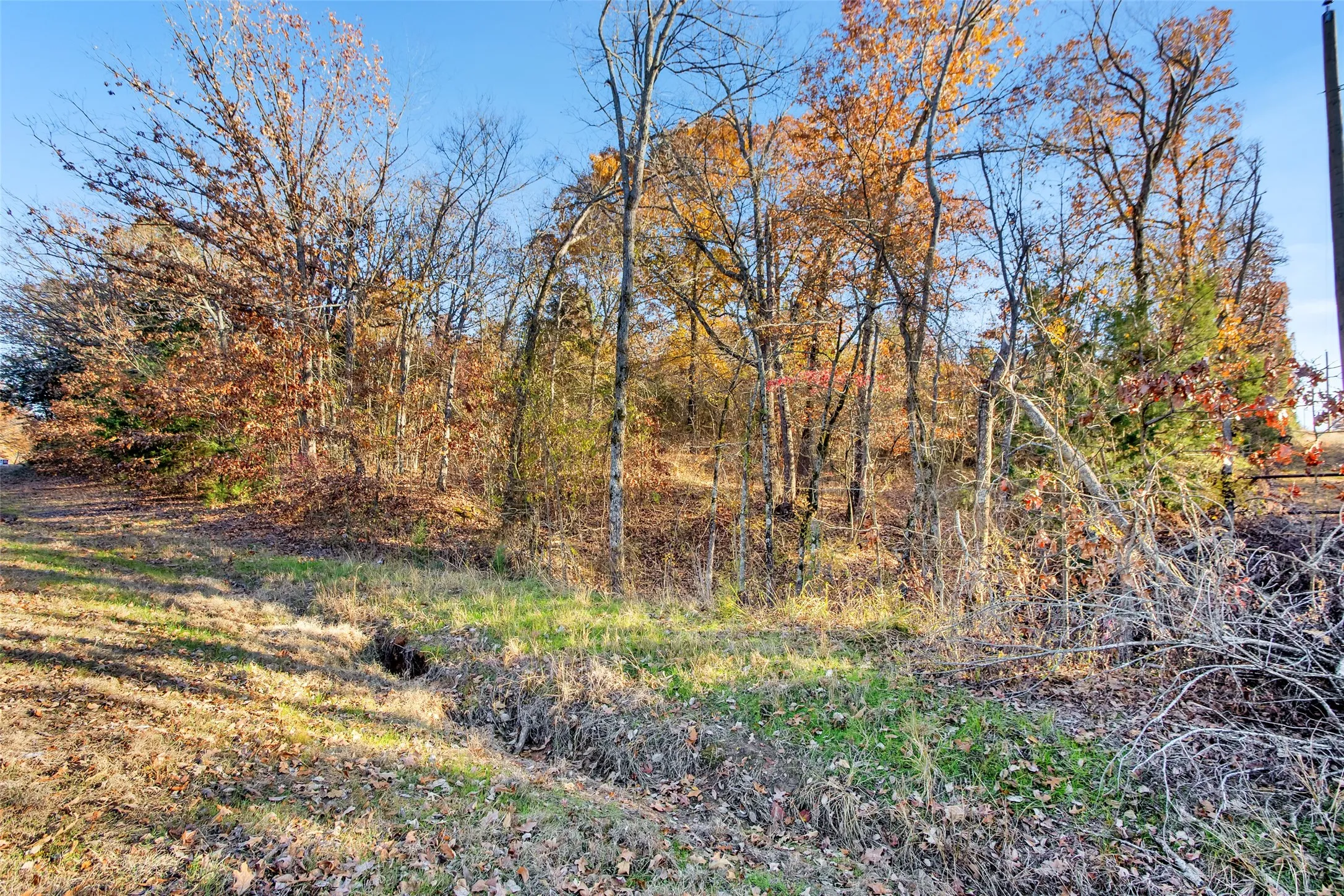 Unimproved Land For Sale in Lamar County , TBD 197, Arthur City, Texas 75411, 0, 0, Garage spaces, 0 Sqft, built in 0, Price $325,000, mls#21364502, Real Estate Agent in Arthur City, Homes For Sale in Lamar county, Homes For Sale in Arthur City, Realtor in Arthur City Texas, Real Estate Brokerage Independent Realty Texas, Luminita Cordes Realtor