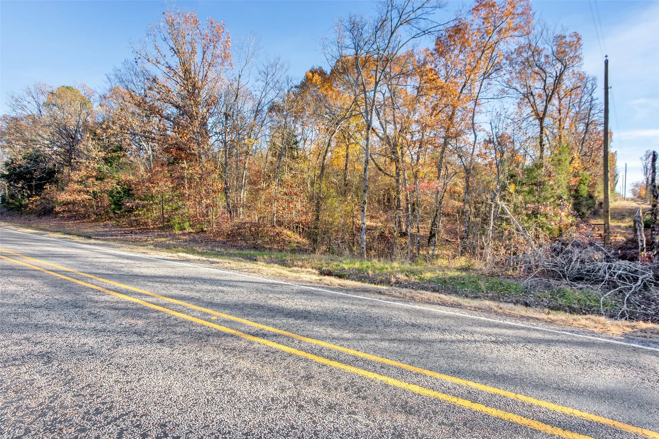 Unimproved Land For Sale in Lamar County , TBD 197, Arthur City, Texas 75411, 0, 0, Garage spaces, 0 Sqft, built in 0, Price $325,000, mls#21364502, Real Estate Agent in Arthur City, Homes For Sale in Lamar county, Homes For Sale in Arthur City, Realtor in Arthur City Texas, Real Estate Brokerage Independent Realty Texas, Luminita Cordes Realtor