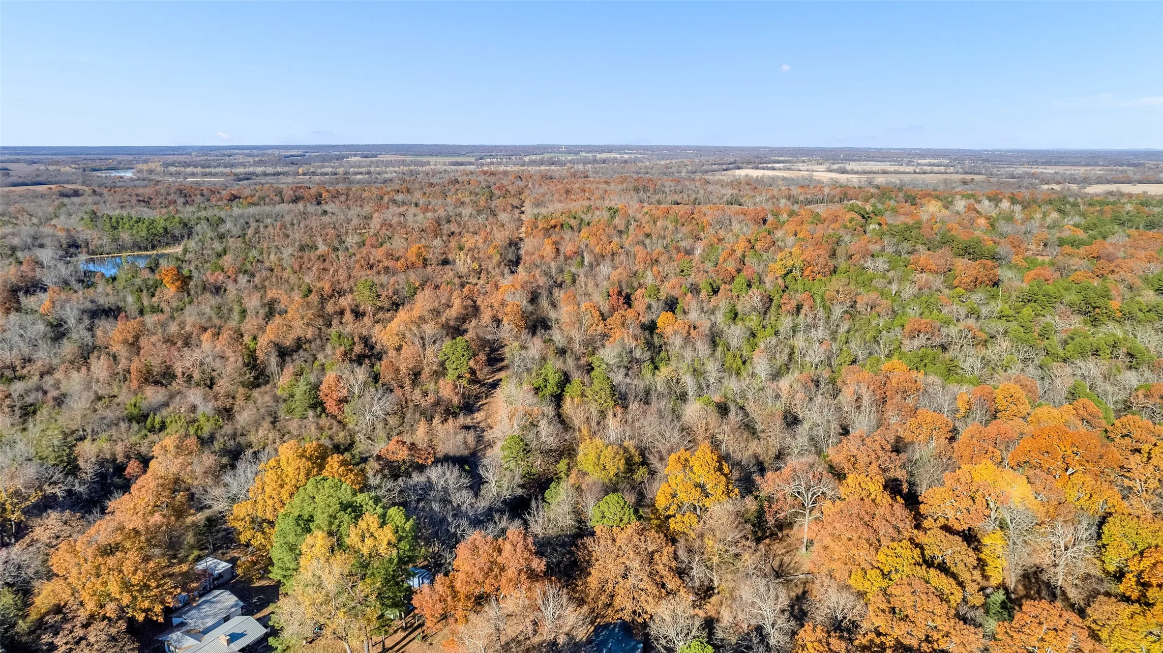 Unimproved Land For Sale in Lamar County , TBD 197, Arthur City, Texas 75411, 0, 0, Garage spaces, 0 Sqft, built in 0, Price $325,000, mls#21364502, Real Estate Agent in Arthur City, Homes For Sale in Lamar county, Homes For Sale in Arthur City, Realtor in Arthur City Texas, Real Estate Brokerage Independent Realty Texas, Luminita Cordes Realtor