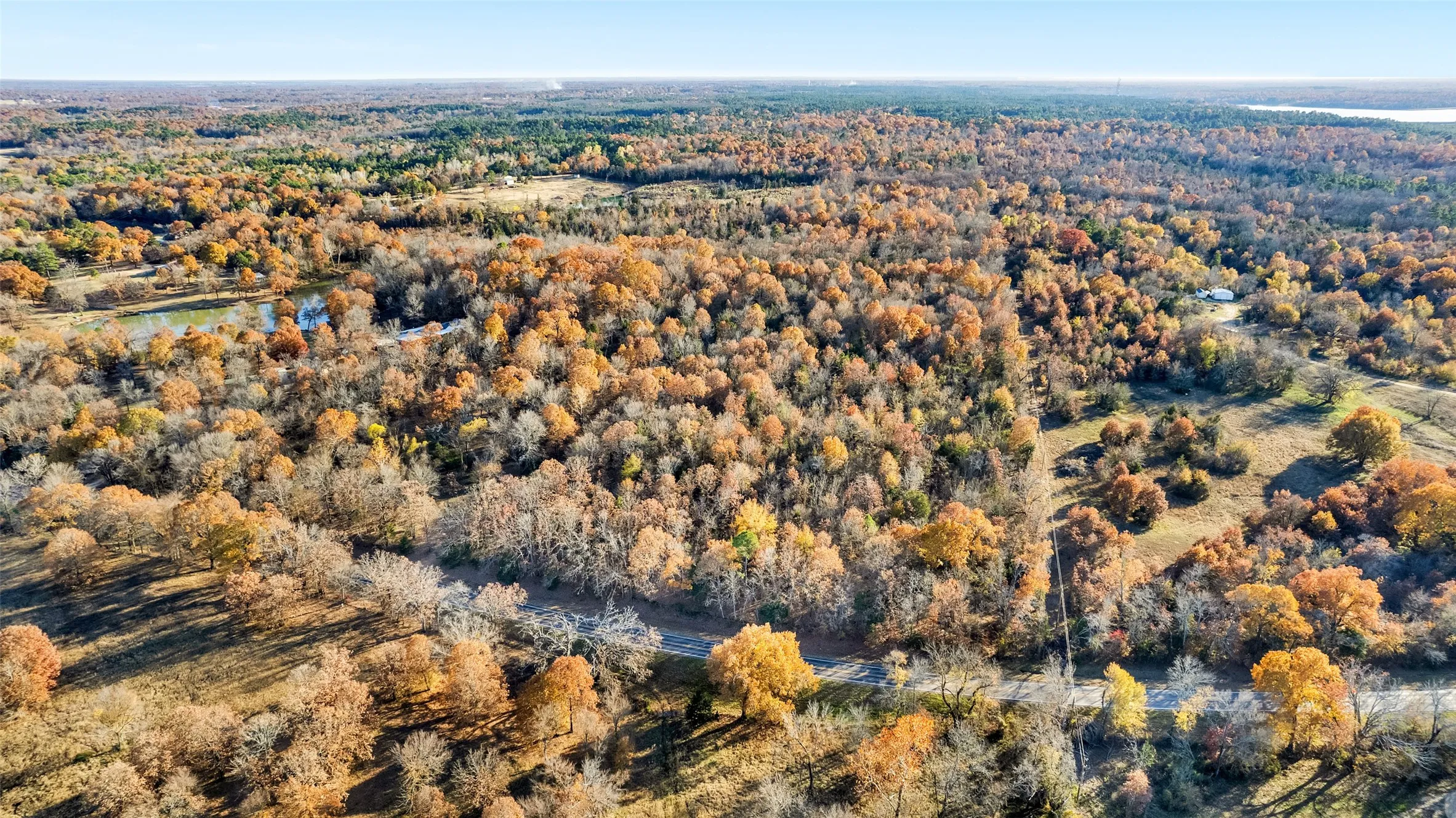 Unimproved Land For Sale in Lamar County , TBD 197, Arthur City, Texas 75411, 0, 0, Garage spaces, 0 Sqft, built in 0, Price $325,000, mls#21364502, Real Estate Agent in Arthur City, Homes For Sale in Lamar county, Homes For Sale in Arthur City, Realtor in Arthur City Texas, Real Estate Brokerage Independent Realty Texas, Luminita Cordes Realtor