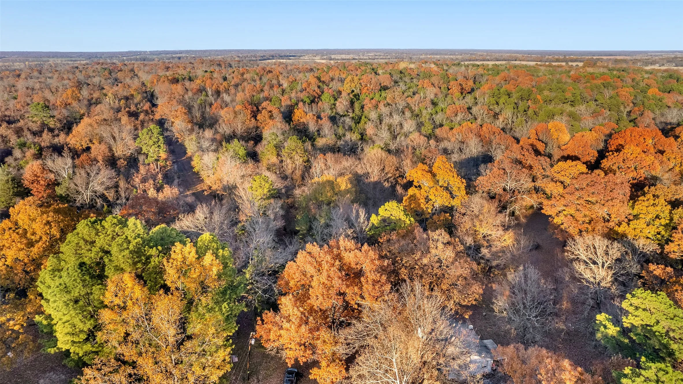 Unimproved Land For Sale in Lamar County , TBD 197, Arthur City, Texas 75411, 0, 0, Garage spaces, 0 Sqft, built in 0, Price $325,000, mls#21364502, Real Estate Agent in Arthur City, Homes For Sale in Lamar county, Homes For Sale in Arthur City, Realtor in Arthur City Texas, Real Estate Brokerage Independent Realty Texas, Luminita Cordes Realtor