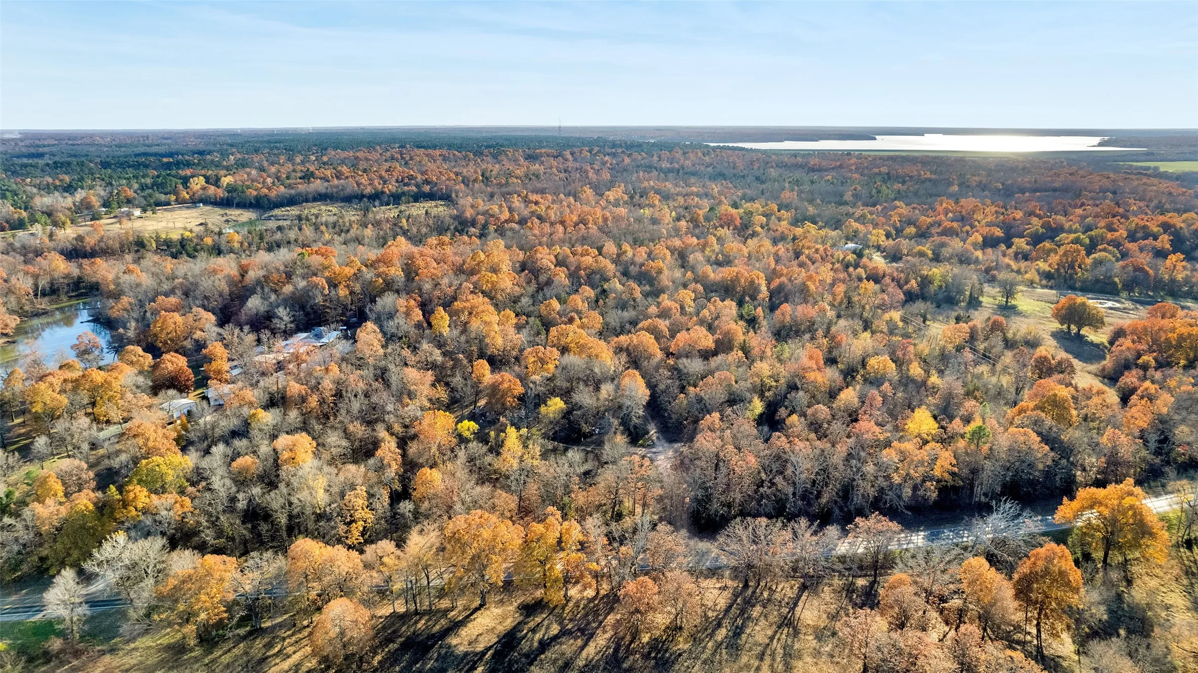 Unimproved Land For Sale in Lamar County , TBD 197, Arthur City, Texas 75411, 0, 0, Garage spaces, 0 Sqft, built in 0, Price $325,000, mls#21364502, Real Estate Agent in Arthur City, Homes For Sale in Lamar county, Homes For Sale in Arthur City, Realtor in Arthur City Texas, Real Estate Brokerage Independent Realty Texas, Luminita Cordes Realtor