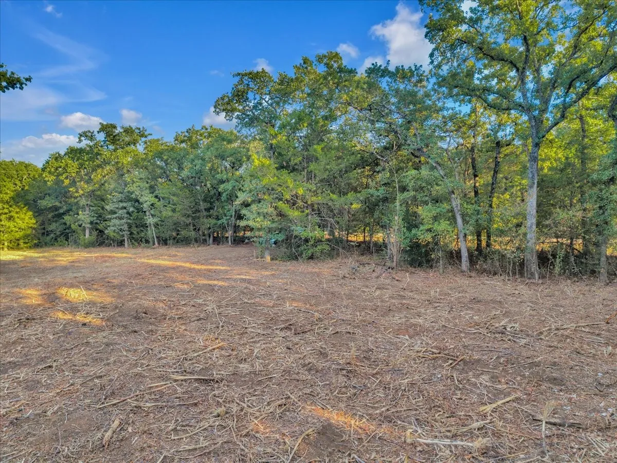 Unimproved Land For Sale in Johnson County , 1709 Fox Lane, Burleson, Texas 76028, 0, 0, Garage spaces, 0 Sqft, built in 0, mls#21364536, Real Estate Agent in Burleson, Homes For Sale in Johnson county, Homes For Sale in Burleson, Realtor in Burleson Texas, Real Estate Brokerage Independent Realty Texas, Luminita Cordes Realtor