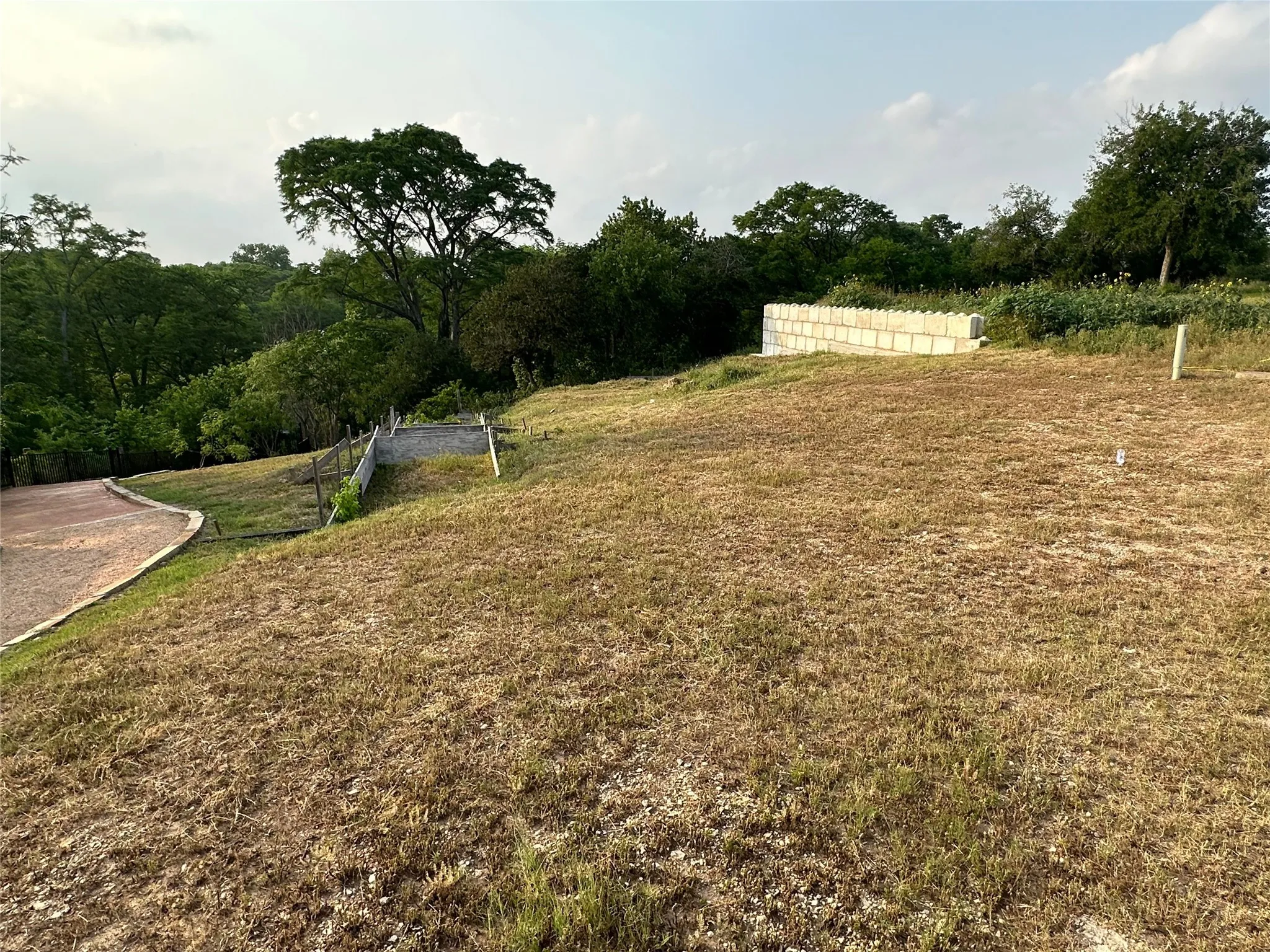 Sloping terrain with natural vegetation, a concrete block wall, and an unpaved path with wood-framed steps