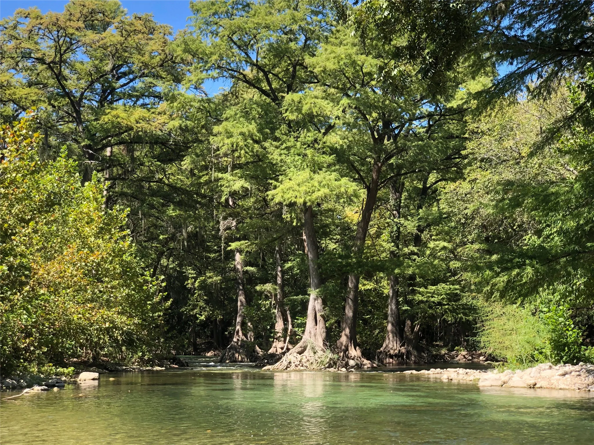 Clear water body with a tree-lined bank featuring extensive foliage