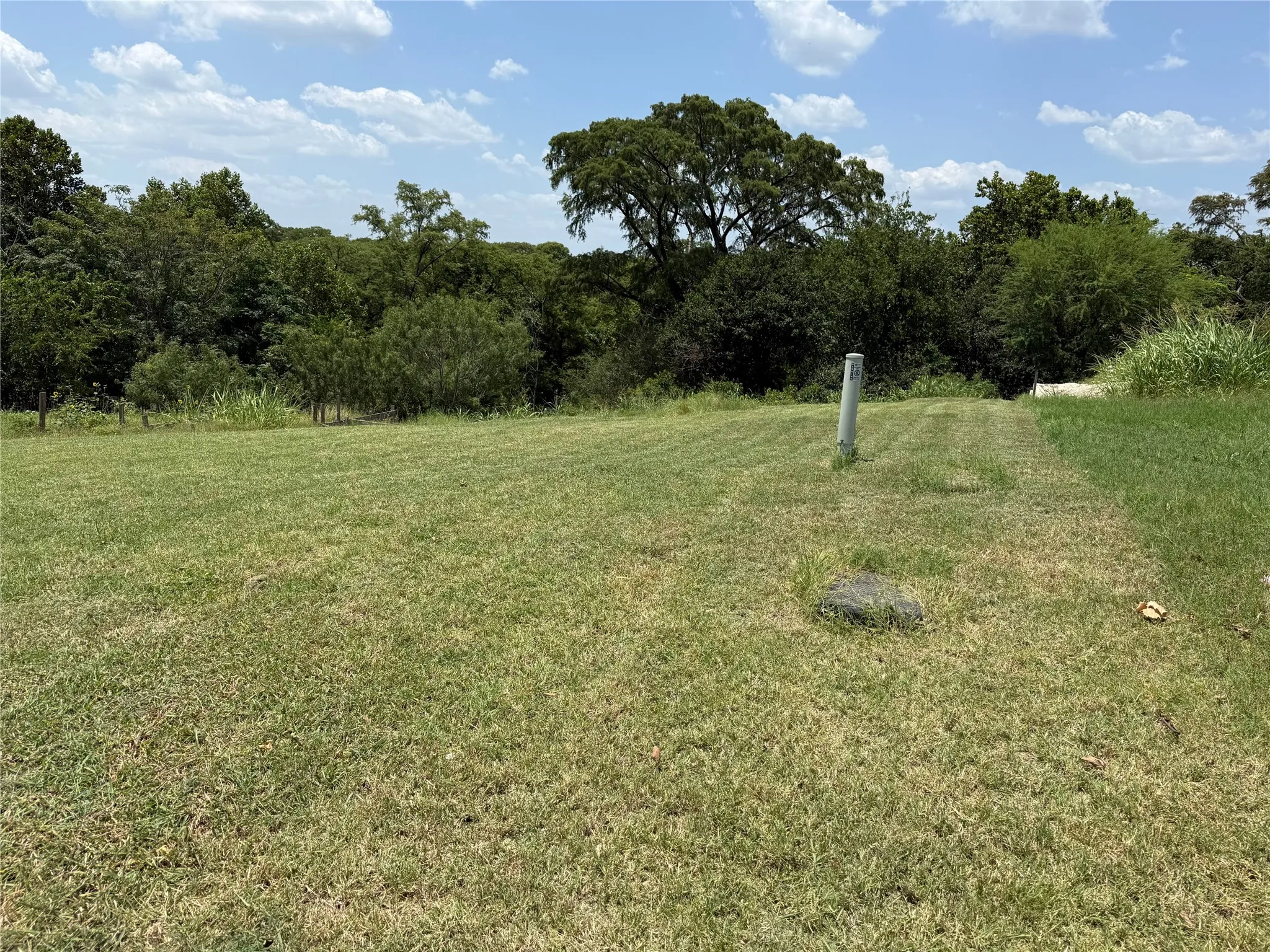 Expansive grassy area with a forested backdrop