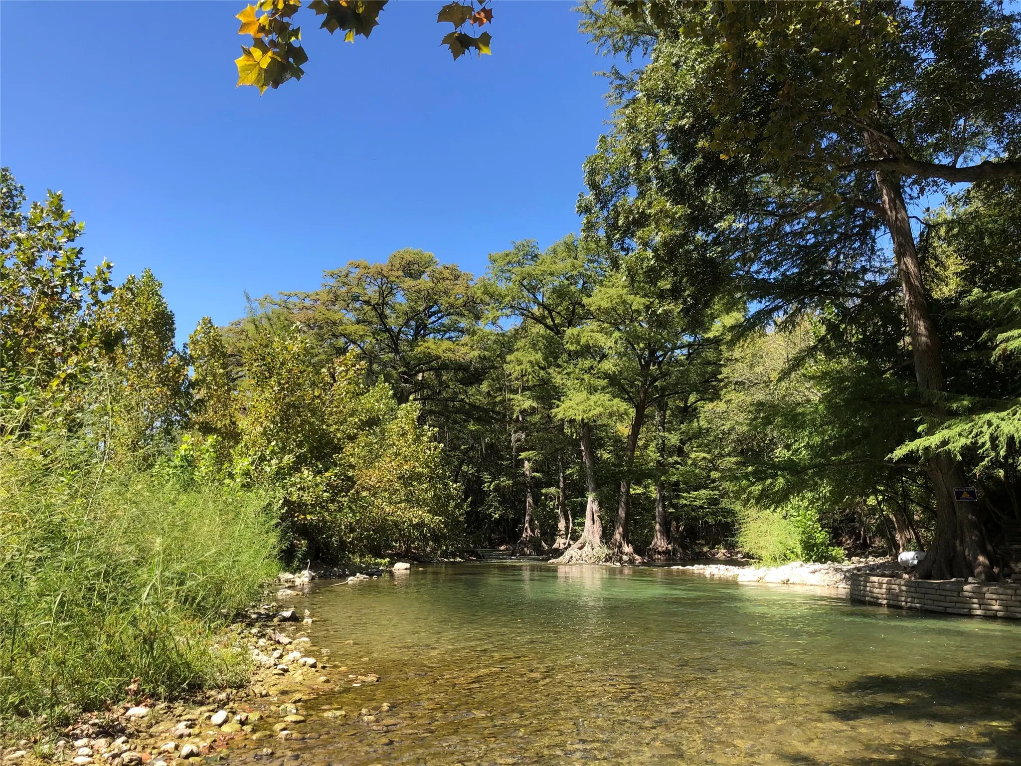 Natural waterway with clear water, surrounded by abundant mature trees and lush vegetation