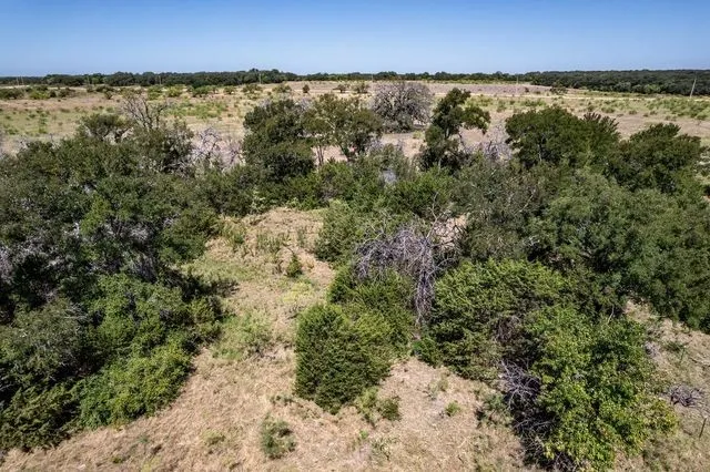 Mature trees in the middle of the lot
