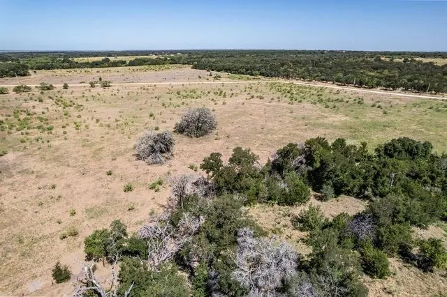 View of lot trees