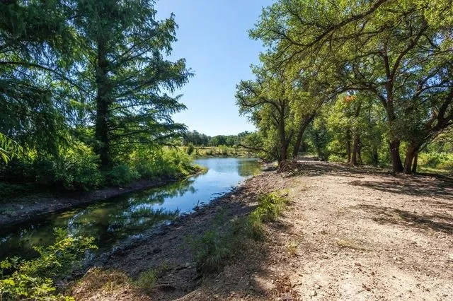 Beautiful view of trees next to pond
