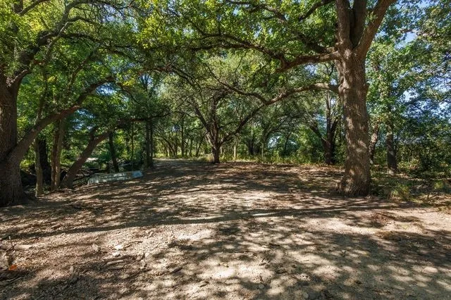 Mature trees along the left side of the lot, next to the pond
