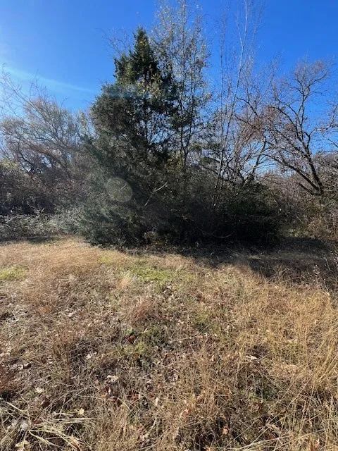 Unimproved Land For Sale in Henderson County , 188 Baywood Boulevard, Mabank, Texas 75156, 0, 0, Garage spaces, 0 Sqft, built in 0, mls#21364188, Real Estate Agent in Mabank, Homes For Sale in Henderson county, Homes For Sale in Mabank, Realtor in Mabank Texas, Real Estate Brokerage Independent Realty Texas, Luminita Cordes Realtor