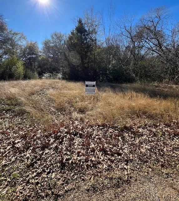 Unimproved Land For Sale in Henderson County , 188 Baywood Boulevard, Mabank, Texas 75156, 0, 0, Garage spaces, 0 Sqft, built in 0, mls#21364188, Real Estate Agent in Mabank, Homes For Sale in Henderson county, Homes For Sale in Mabank, Realtor in Mabank Texas, Real Estate Brokerage Independent Realty Texas, Luminita Cordes Realtor