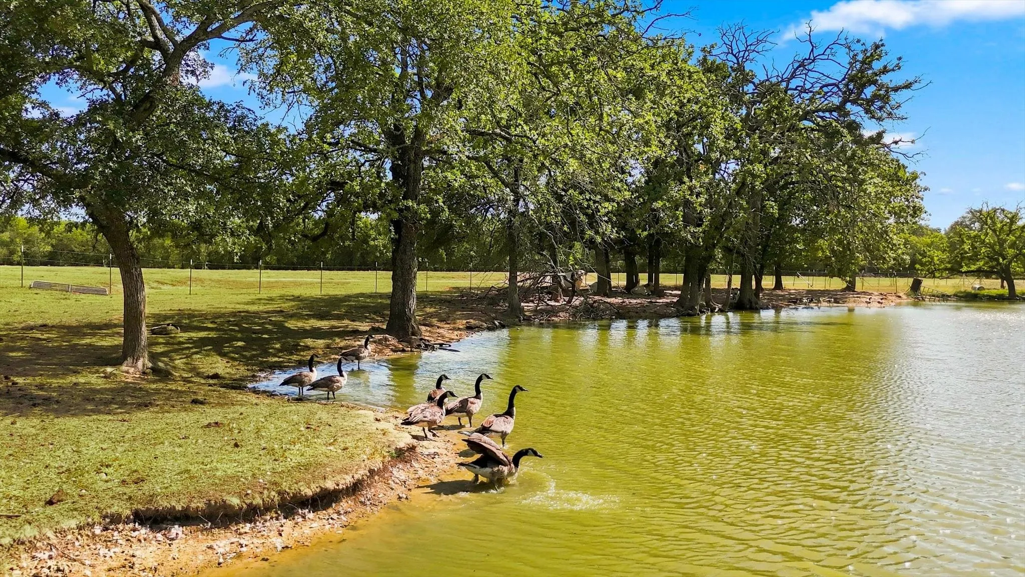 Private pond with established trees and expansive grassy areas